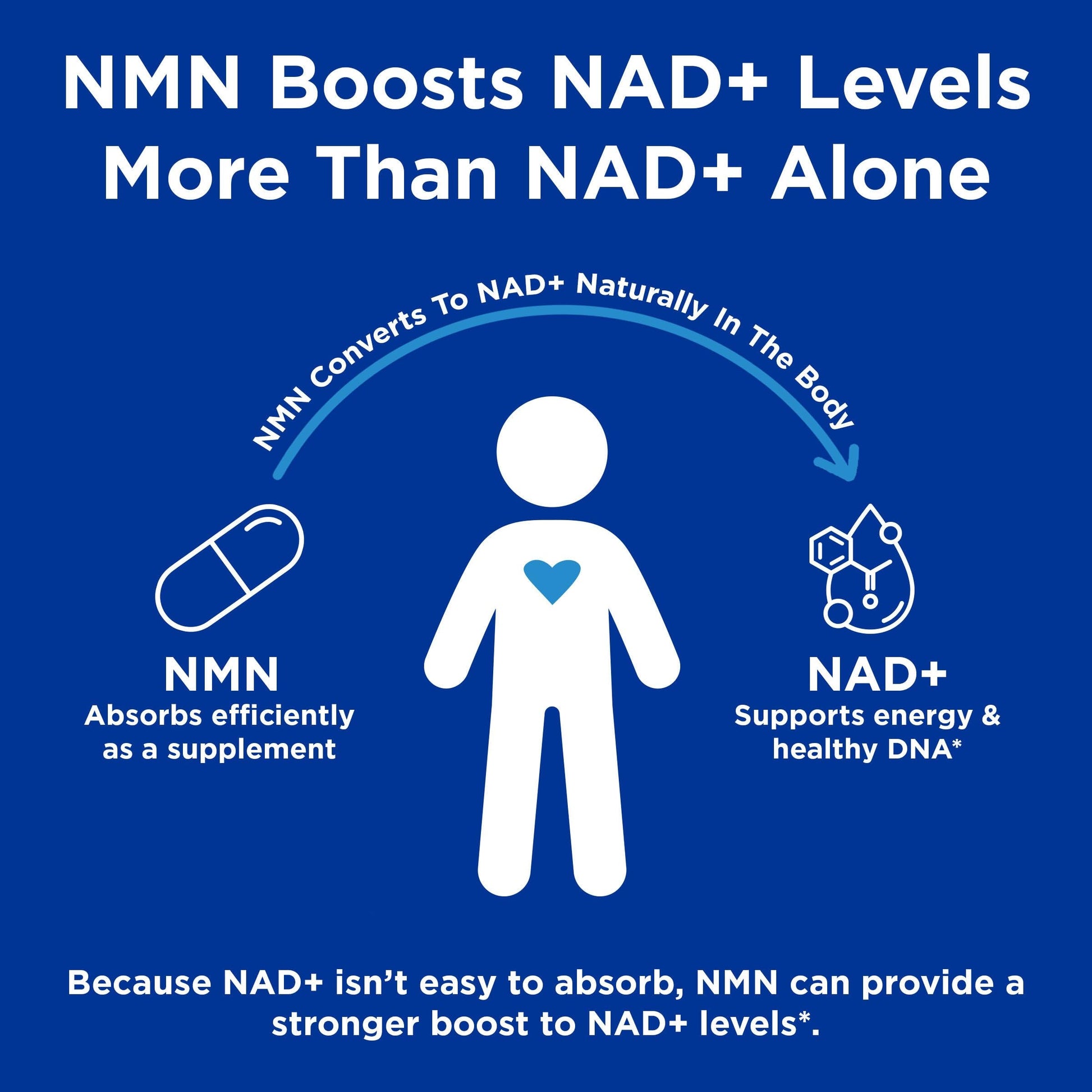 GNC Preventive Nutrition NMN, 150 mg, NAD+ Booster Supplement for Cellular Energy & DNA Repair, Anti-Aging Support, 60 Capsules, Gluten Free, 60 svg GNCAu supplements