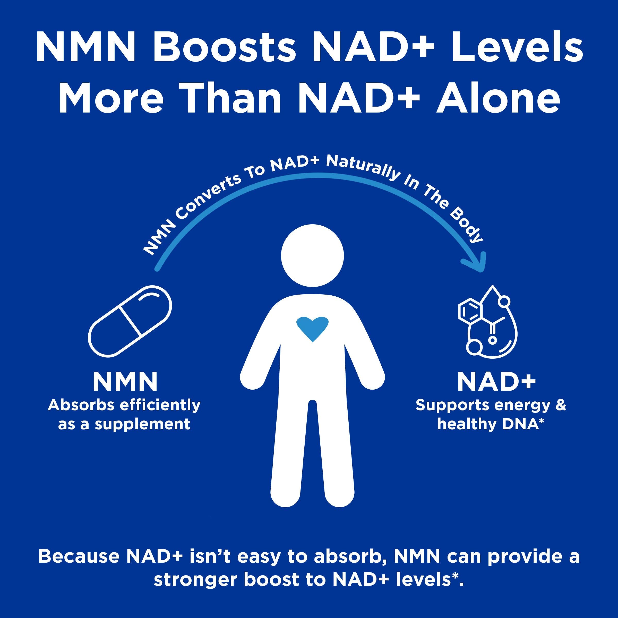 GNC Preventive Nutrition NMN, 150 mg, NAD+ Booster Supplement for Cellular Energy & DNA Repair, Anti-Aging Support, 60 Capsules, Gluten Free, 60 svg GNCAu supplements