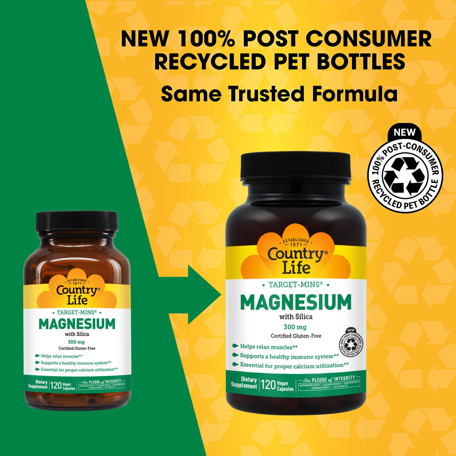 Target-Mins Magnesium with Silica 300 mg 120 Vegetarian Capsules Country LifeAu supplements
