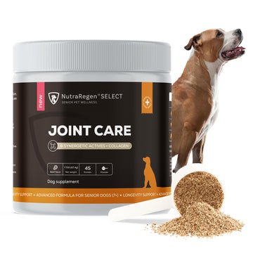 NutraRegen Select Senior Dog Joint Supplement 45 Scoops | Natural Glucosamine Chondroitin for Dogs with Collagen | Hip and Joint Powder | 7.7 Oz NutraRegenAu supplements