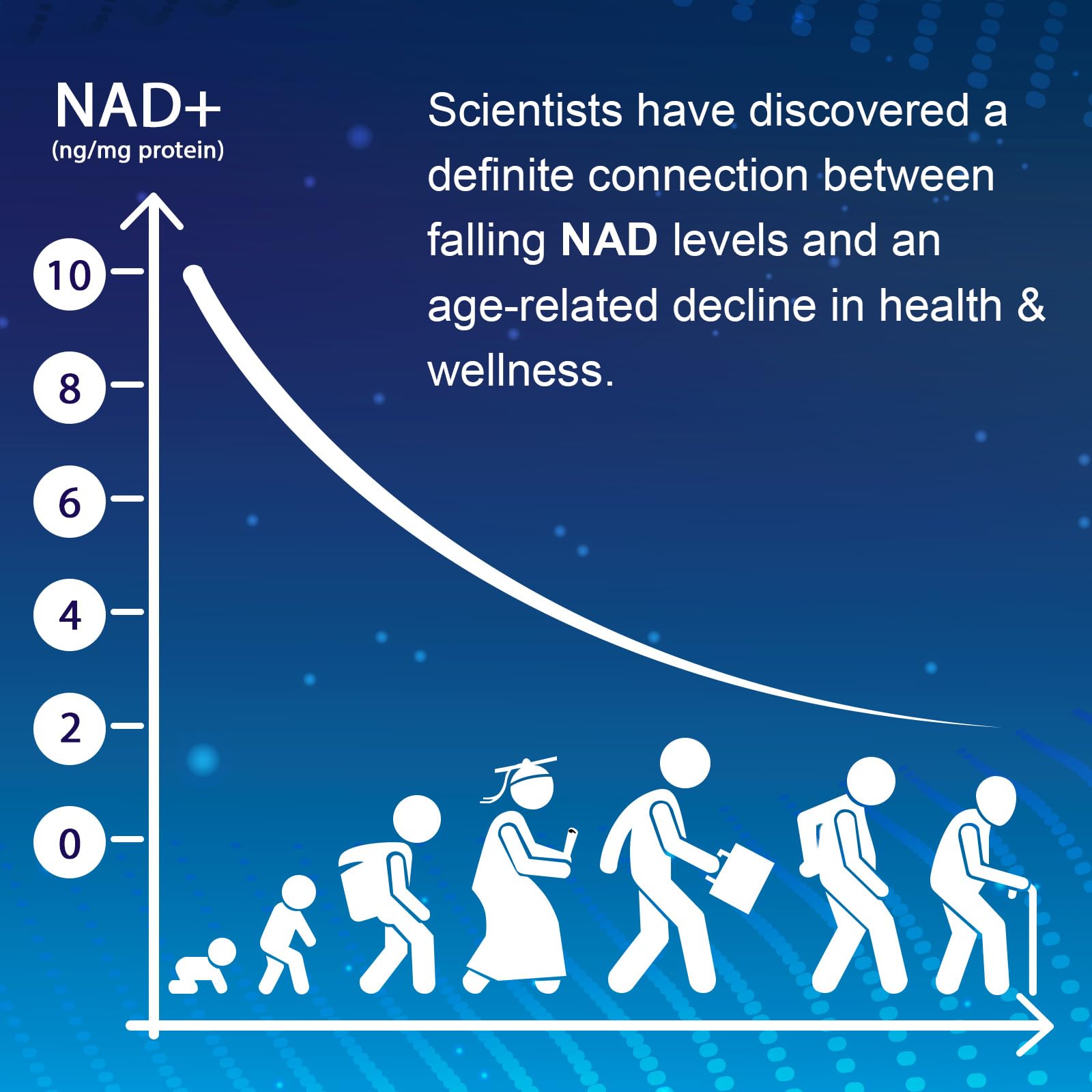 NMNH (Dihydronicotinamide Mononucleotide), NAD Supplement to Boost NAD+ Levels as We Age (May Be More Effective Than Nicotinamide Riboside), NMNH Supplement for Anti-Aging, 60 Capsules (60 Servings) UcessuyyAu supplements