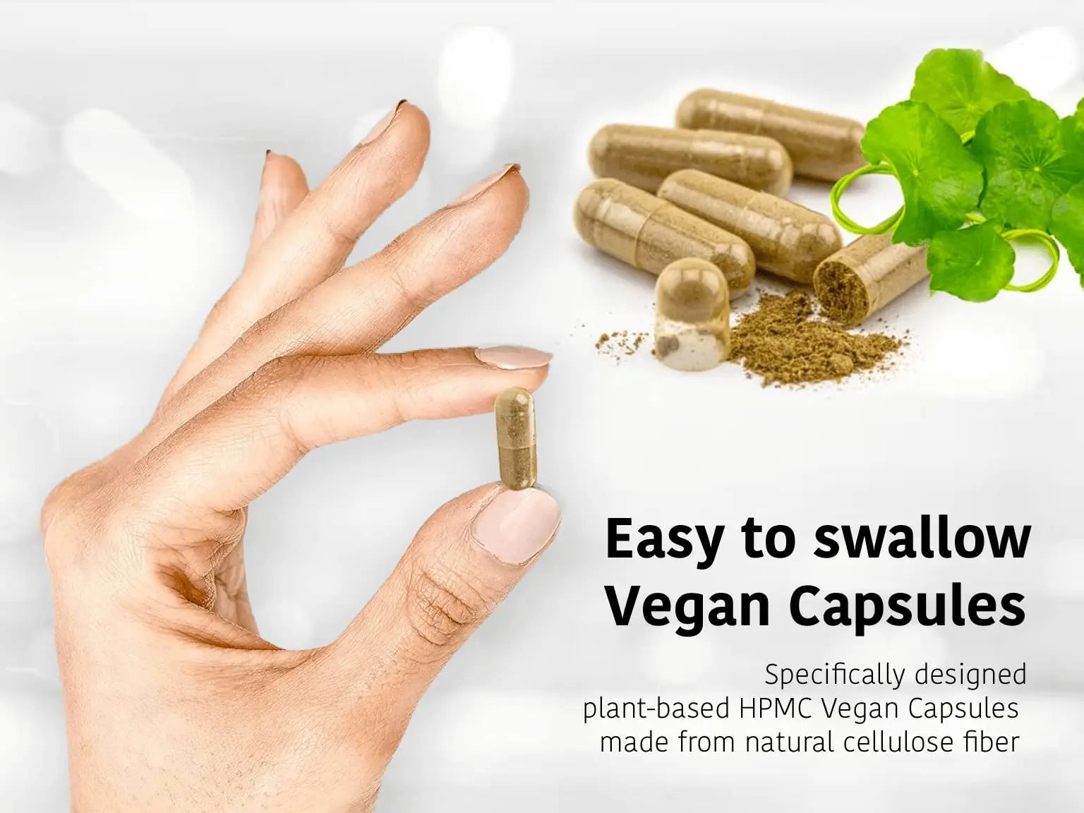DR WAKDE'S Cardamom Capsules (60 Veg Caps, Plant-Based Supplement, Ayurvedic Herb, All Natural, Vegan) DR WAKDE'snz supplements