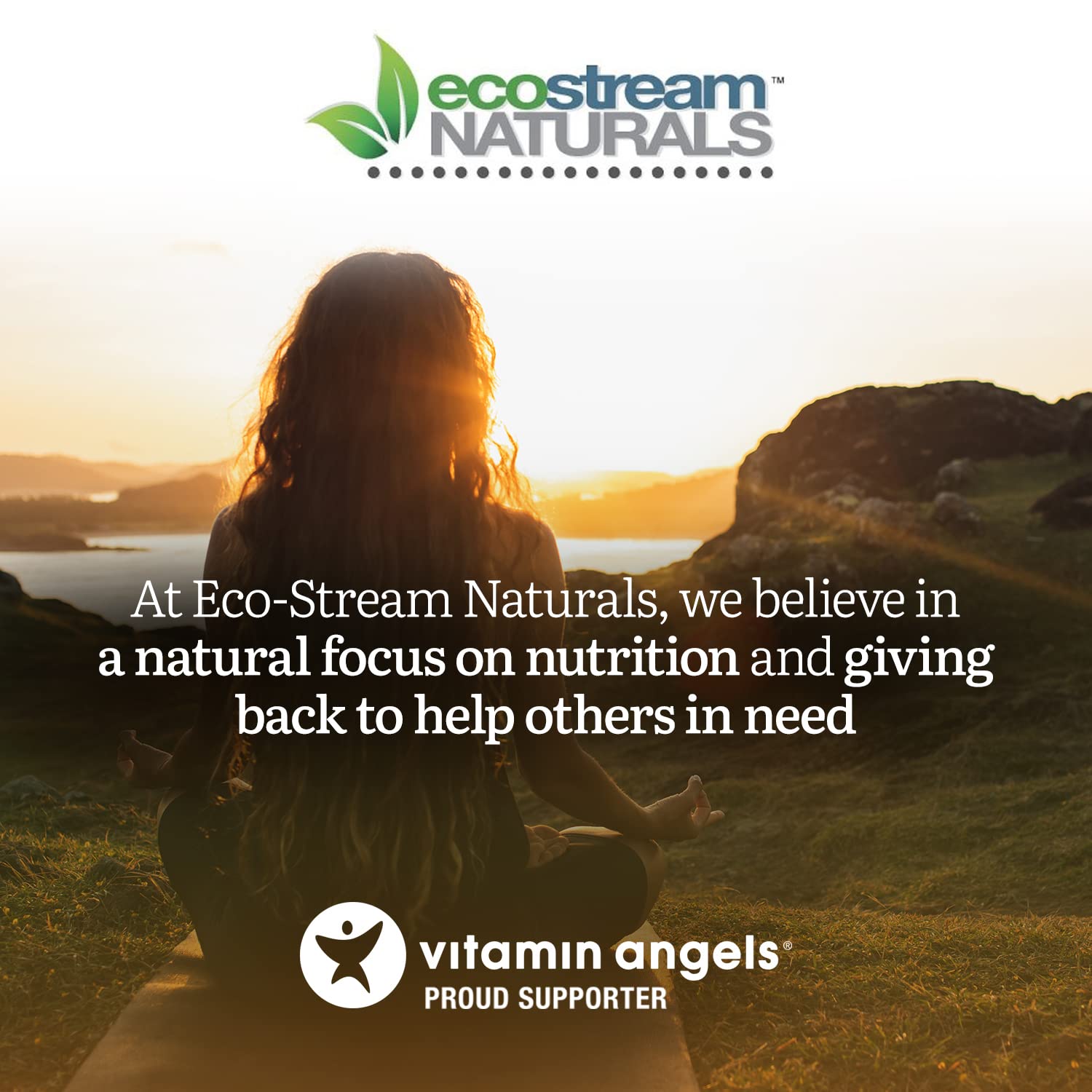 ecostream Naturals Vital First Daily Greens Superfood Powder 50 Whole Super Foods with Spirulina, Chlorella, Flax Seed, Fiber and Enzymes with Organic Greens - 30 Servings ecostream NaturalsAu supplements
