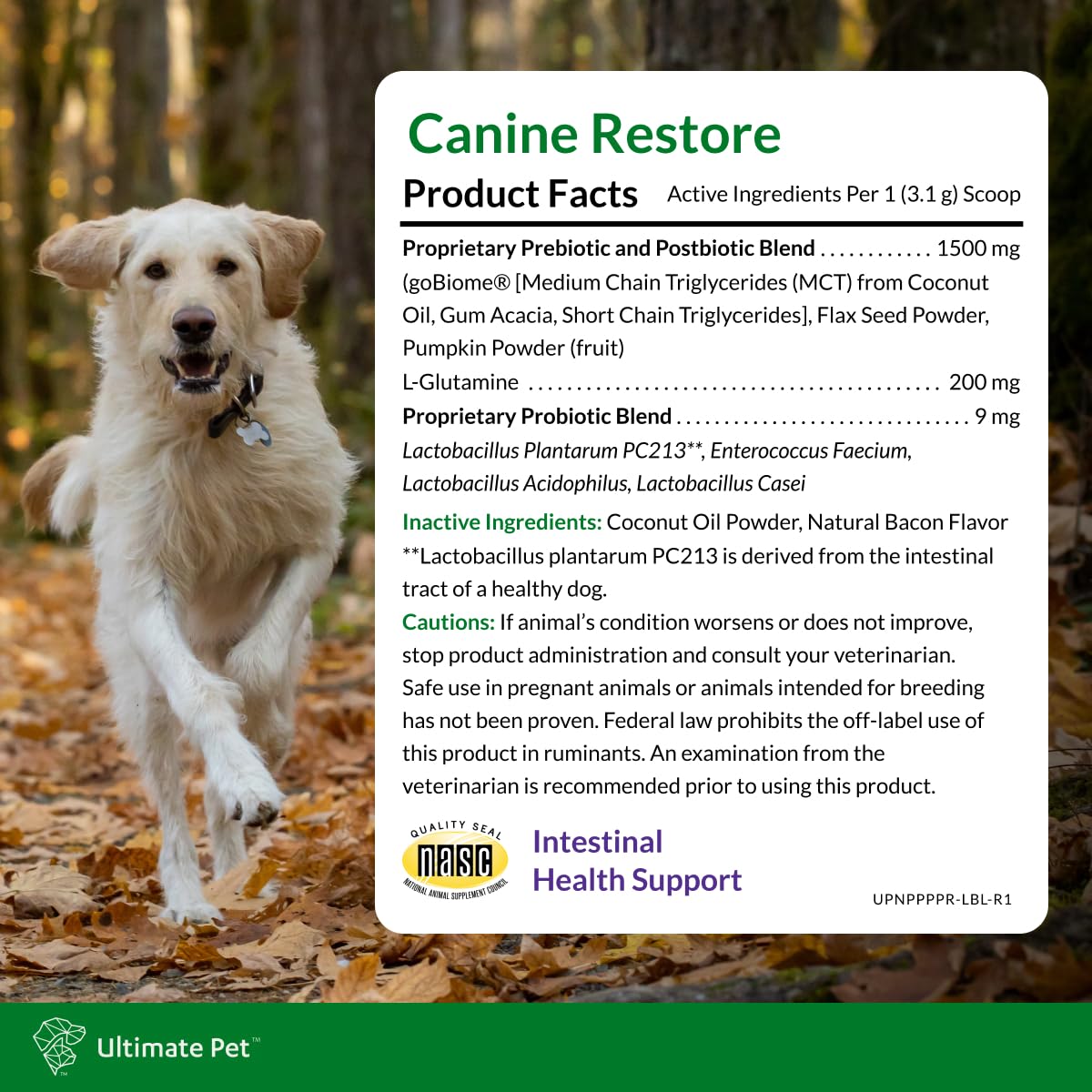 Ultimate Pet Nutrition Canine Restore, Gut Health Supplement with Prebiotics, Probiotics, & Postbiotics for Digestive Health & Immunity Support, Vet Formulated Powder Food Topper ULTIMATE PET NUTRITIONAu supplements