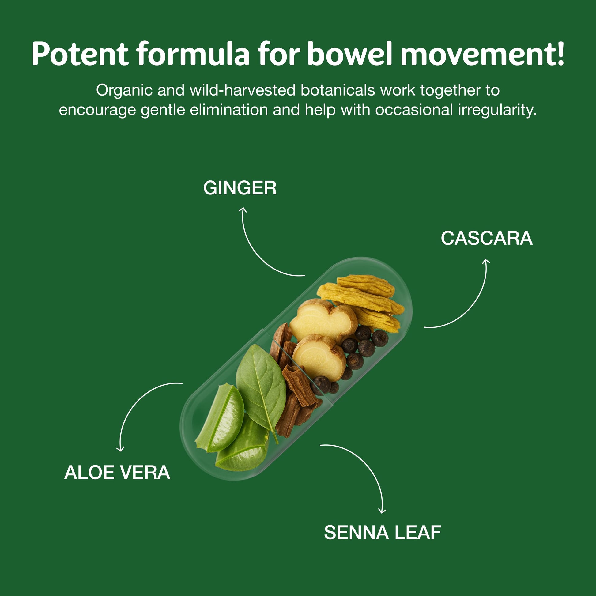 Simply Herbs Easy Go Bowel Mover - Adult Cleansing Supplement for Colon Health Support - Bowel Movement Aid - Stool Softener - Daily-Use Laxative - Plant-Based Ingredients - Vegan - 100 Count (2 Pack) Dr. Schulze'sAu supplements