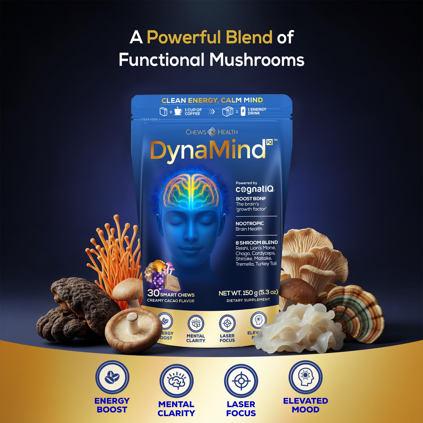 DynaMind iQ Brain Supplement for Memory and Focus for Adults - Nootropic Chews | Coffee Fruit & Mushroom Supplement Blend, Memory Focus Supplement, Caffeine Focus Pills Alternative, 30 Count CHEWSHEALTHAu supplements