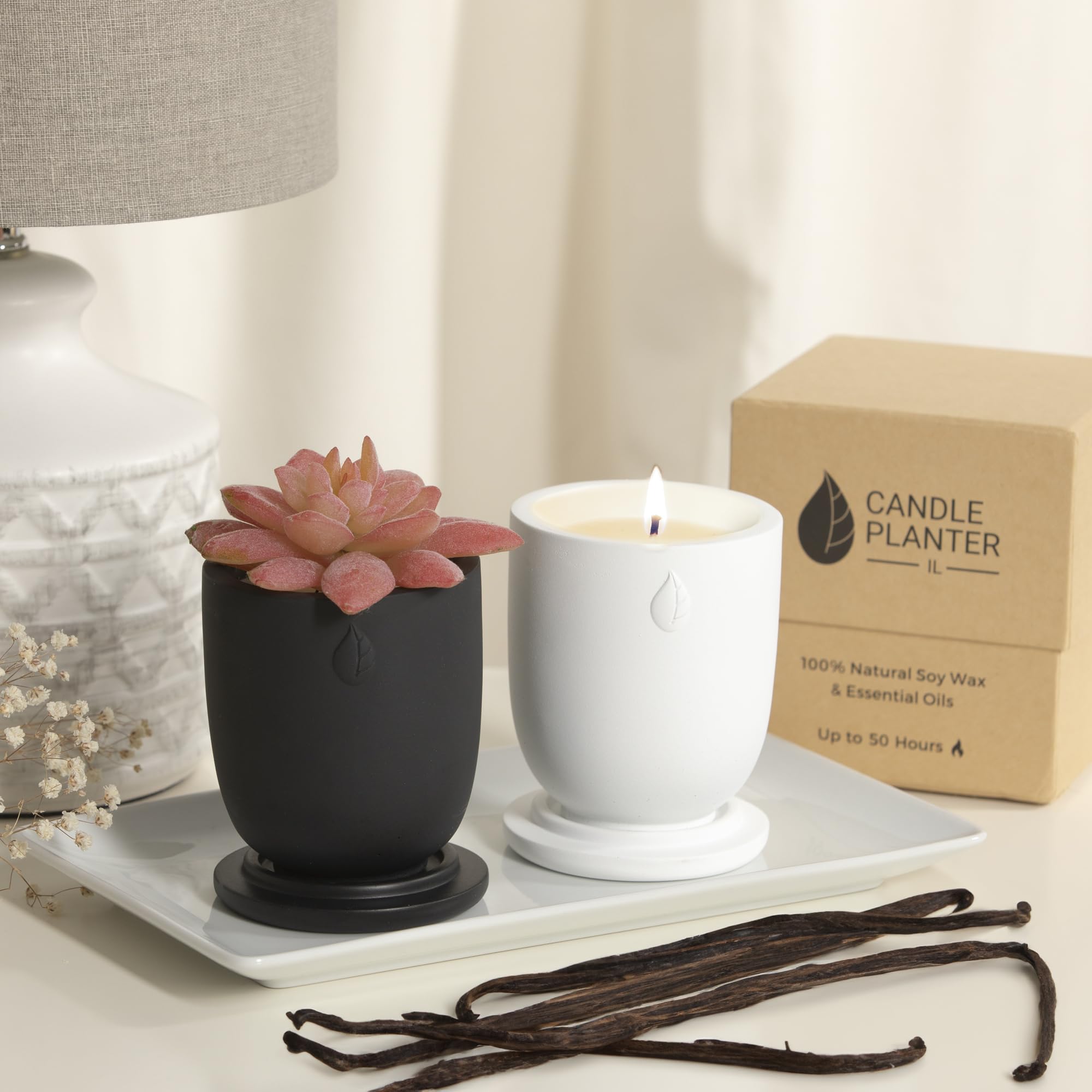 CandlePlanter Concrete Cement Candle Planter - Candles for Home Scented, Soy Candles CANDLEPLANTERAu supplements
