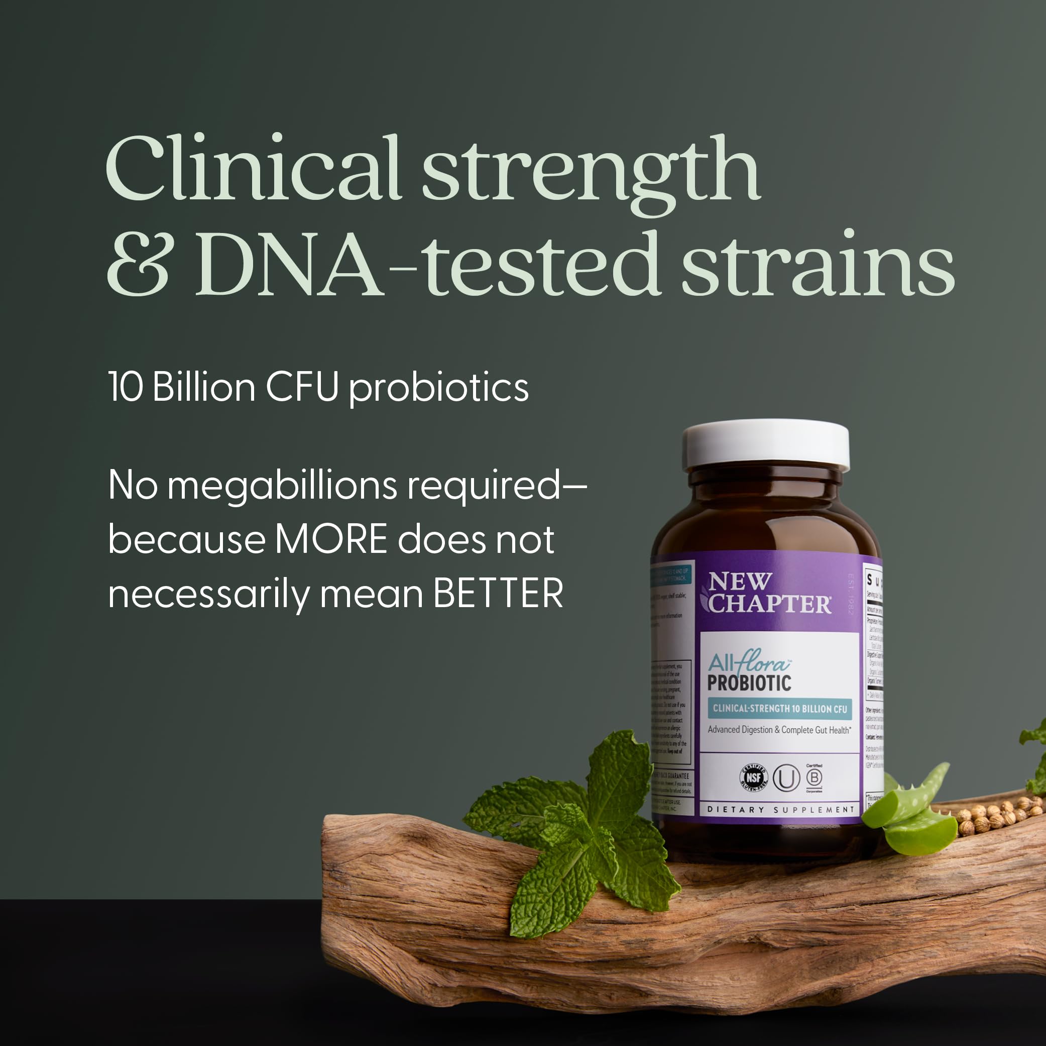 New Chapter All-Flora Probiotic for Advanced Digestion & Complete Gut Health with Prebiotics + Postbiotics, Clinical-Strength Strains, 100% Vegetarian, Non-GMO, Shelf Stable - 60 ct (2 Month Supply) New ChapterAu supplements