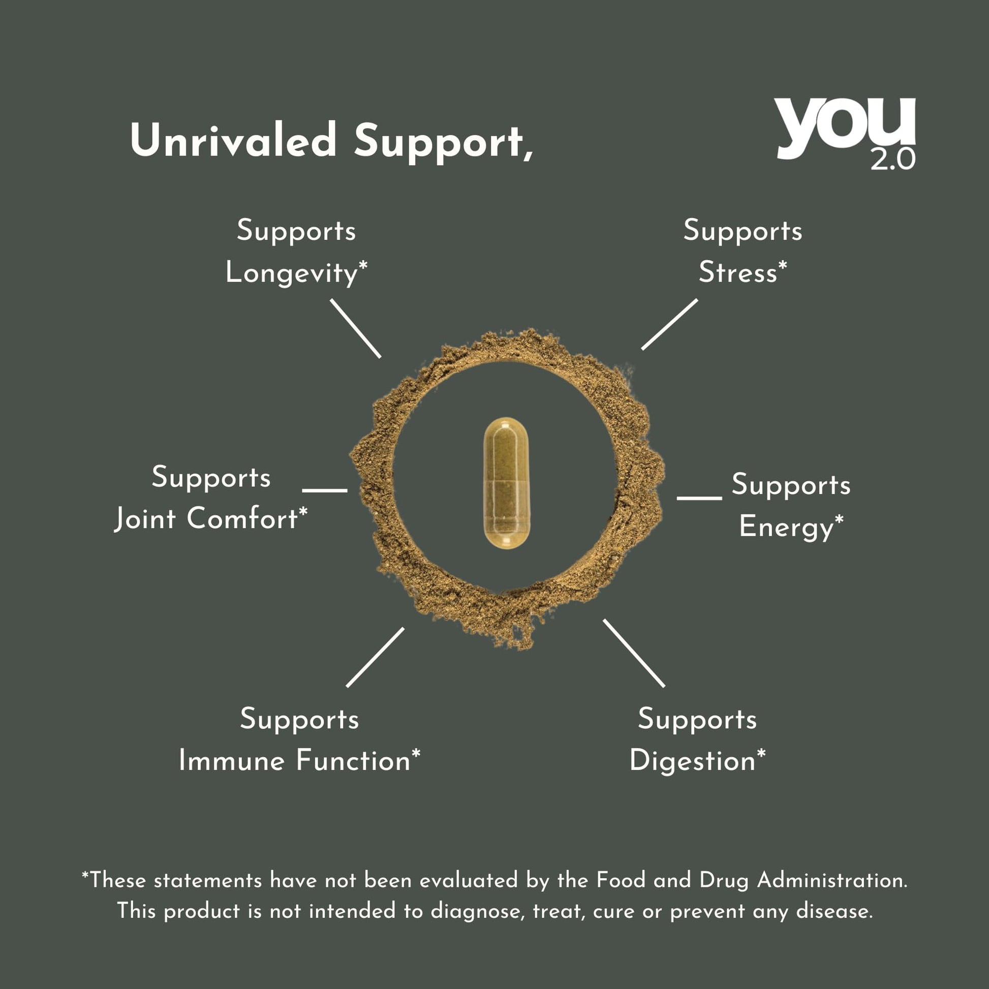 YOU 2.0 Powerhouse Superfood with Seamoss, Shilajit, Ashwagandha, Berberine, Maca, Black Seed Oil, Turmeric, Vitamin C, D, B12, K2 - Moringa, Apple Cider, Made in USA for Overall Health & Immunity YOU 2.0Au supplements
