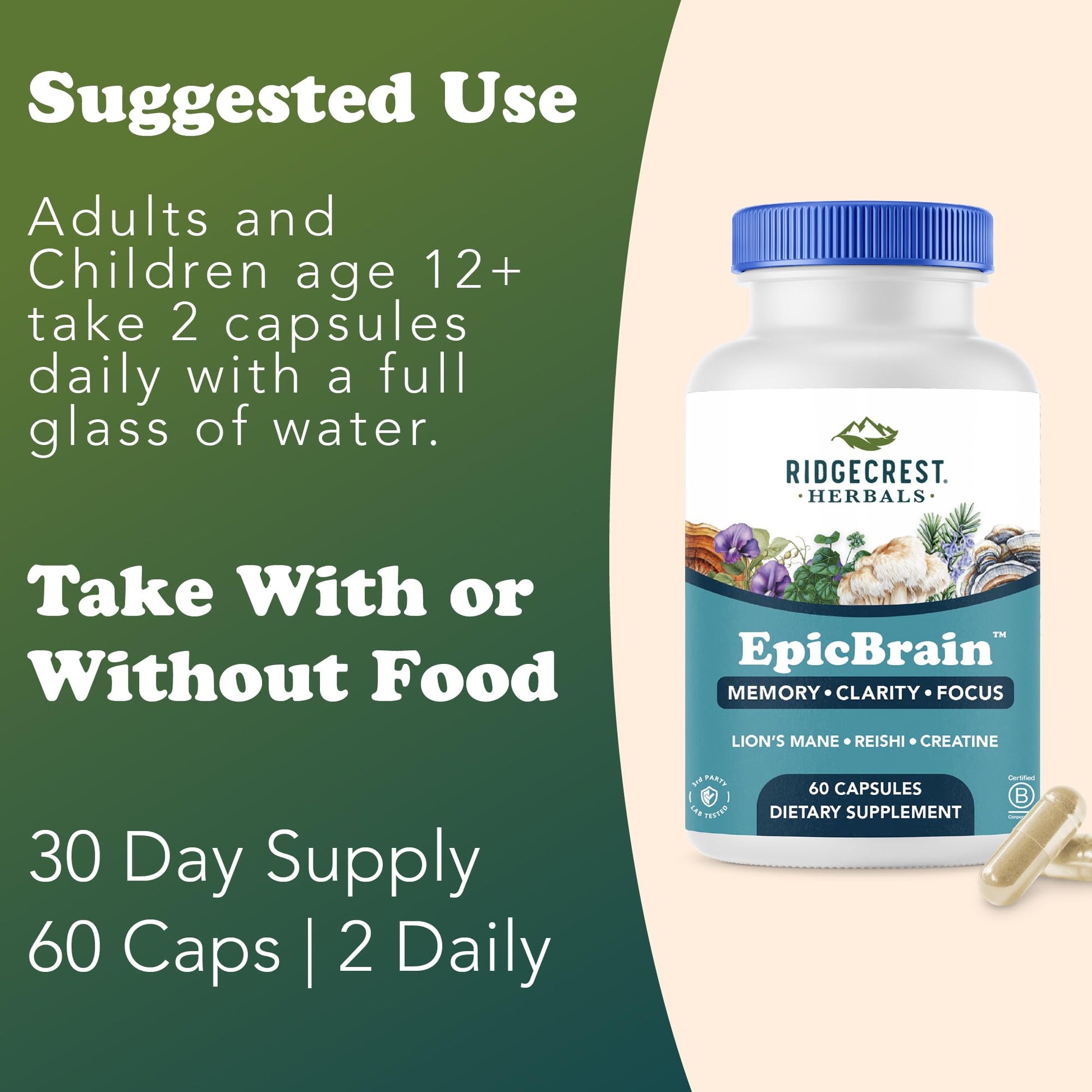 RidgeCrest Herbals EpicBrain, Natural Brain Support Supplement with Creatine Monohydrate, Lion's Mane, Reishi, Supports Mental Clarity, Memory, Focus, Stimulant-Free Nootropic (60 Count, 30 Servings) RidgeCrest HerbalsAu supplements