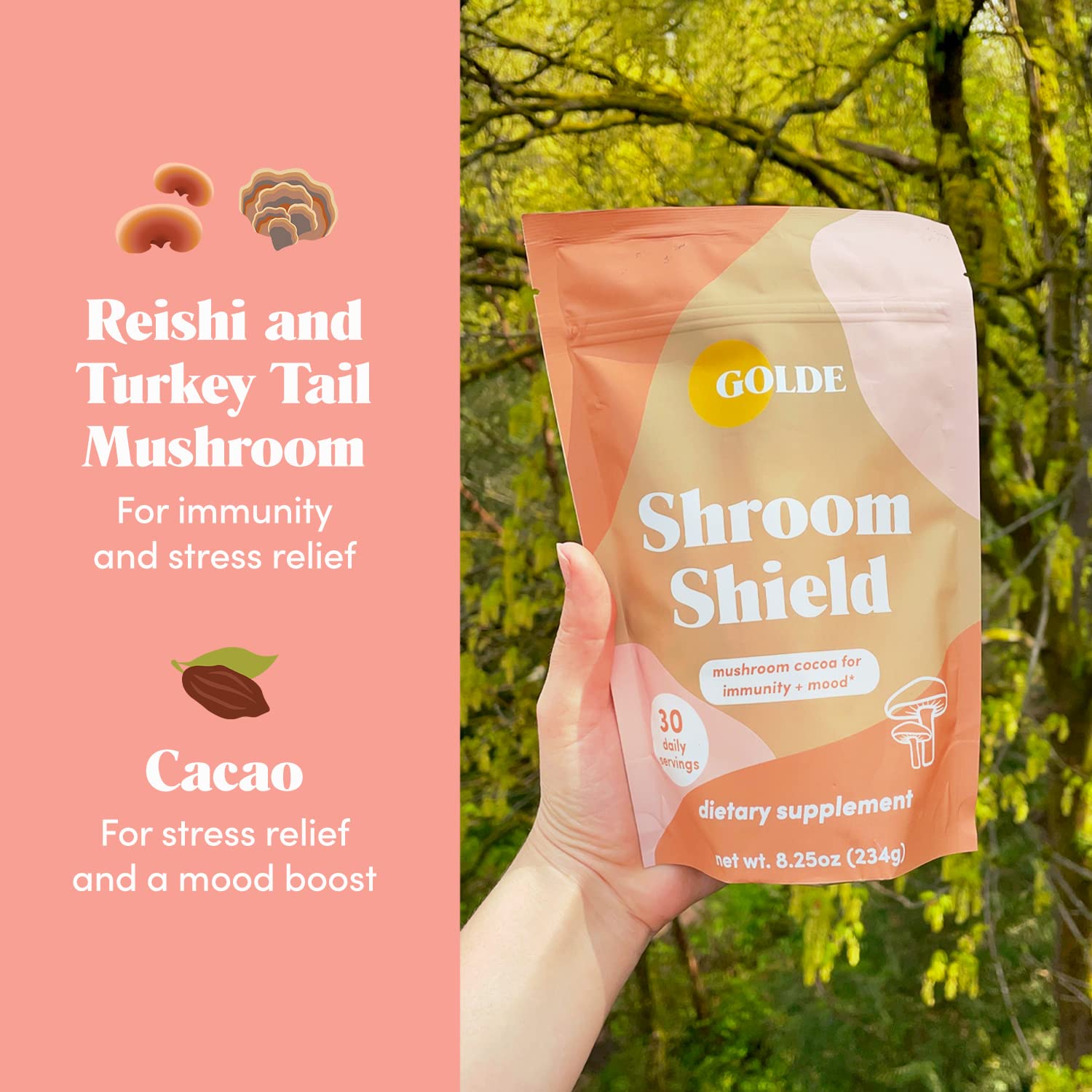 GOLDE Shroom Shield - Plant Based Superfood Blend w/Turkey Tail Mushroom & Reishi Mushroom Extract - Stress Defense - Antioxidants & Prebiotics - Vegan, Keto, & Sugar-Free Hot Cocoa - 30 Servings GOLDEAu supplements