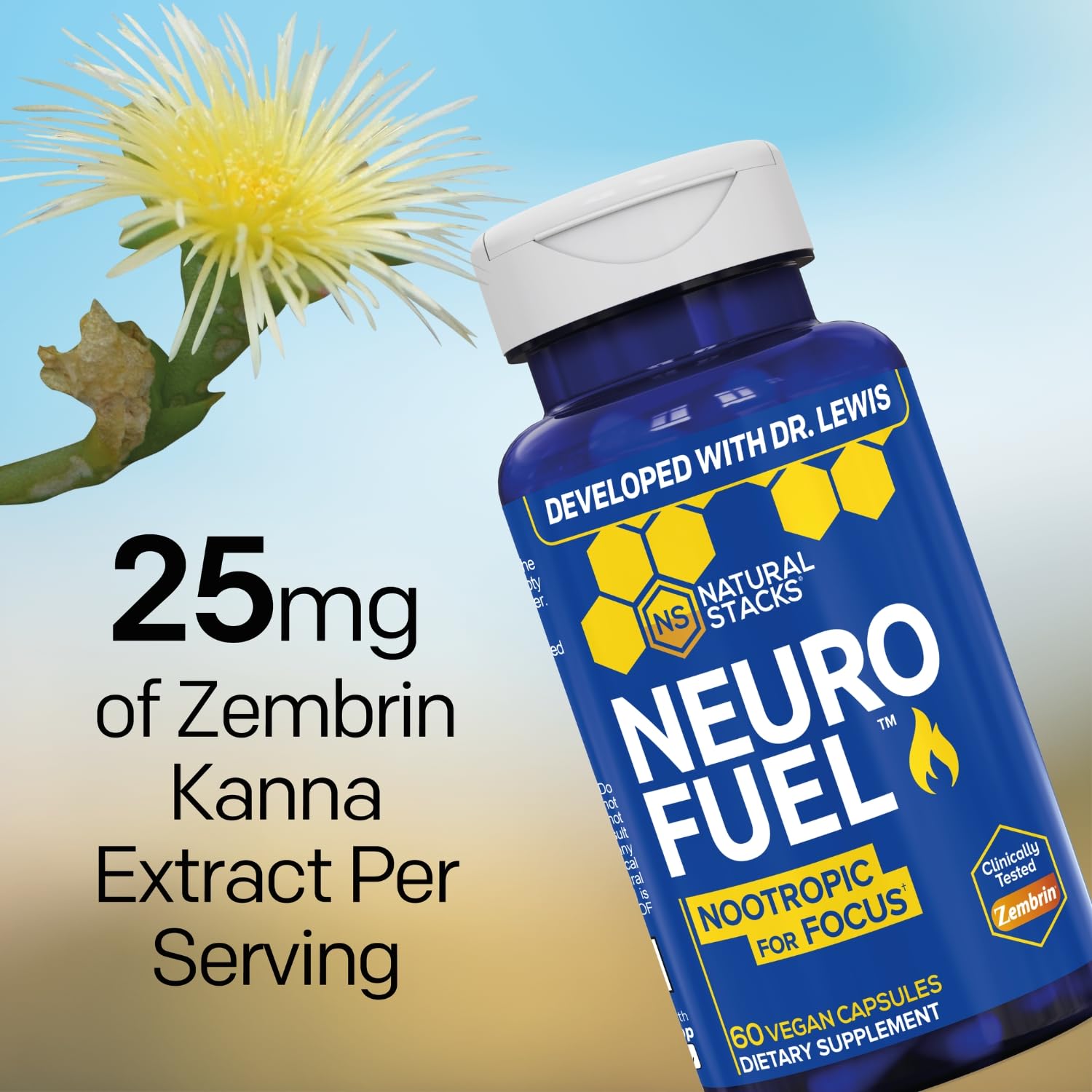 NATURAL STACKS NeuroFuel Nootropic with Zembrin - Doctor Developed Memory & Focus Supplement - Kanna Extract Sceletium Tortuosum - Nootropic Brain Supplement for Focus - 60 Zembrin Capsules NATURAL STACKSAu supplements