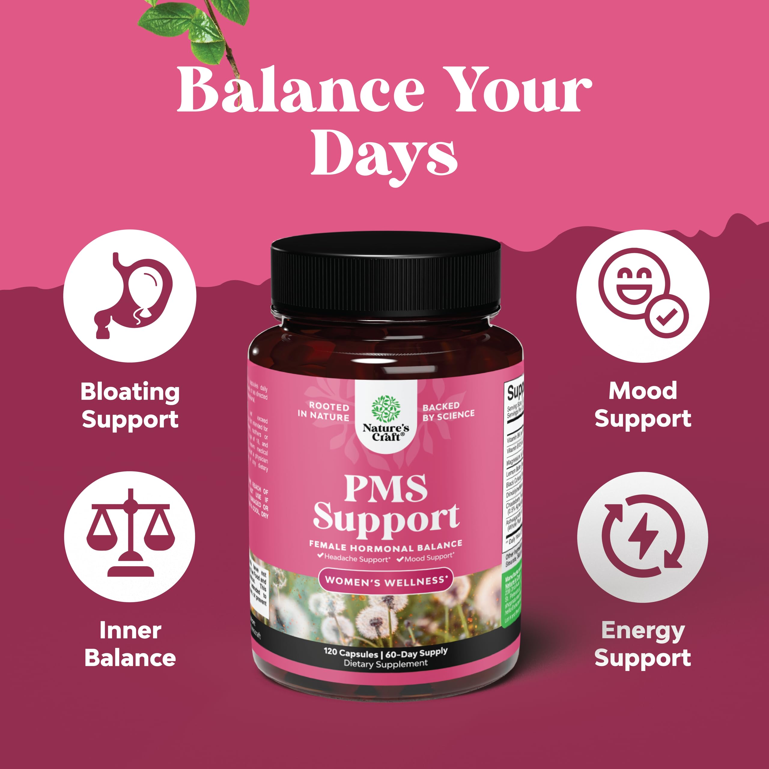 PMS Support Supplement for Women – Hormone Balance for Women & Menstrual Discomfort with DIM, Chasteberry, Black Cohosh & Ashwagandha - for Period Cramps Ease, Menopause Bloating, Mood Swing – 120 Ct Natures CraftAu supplements