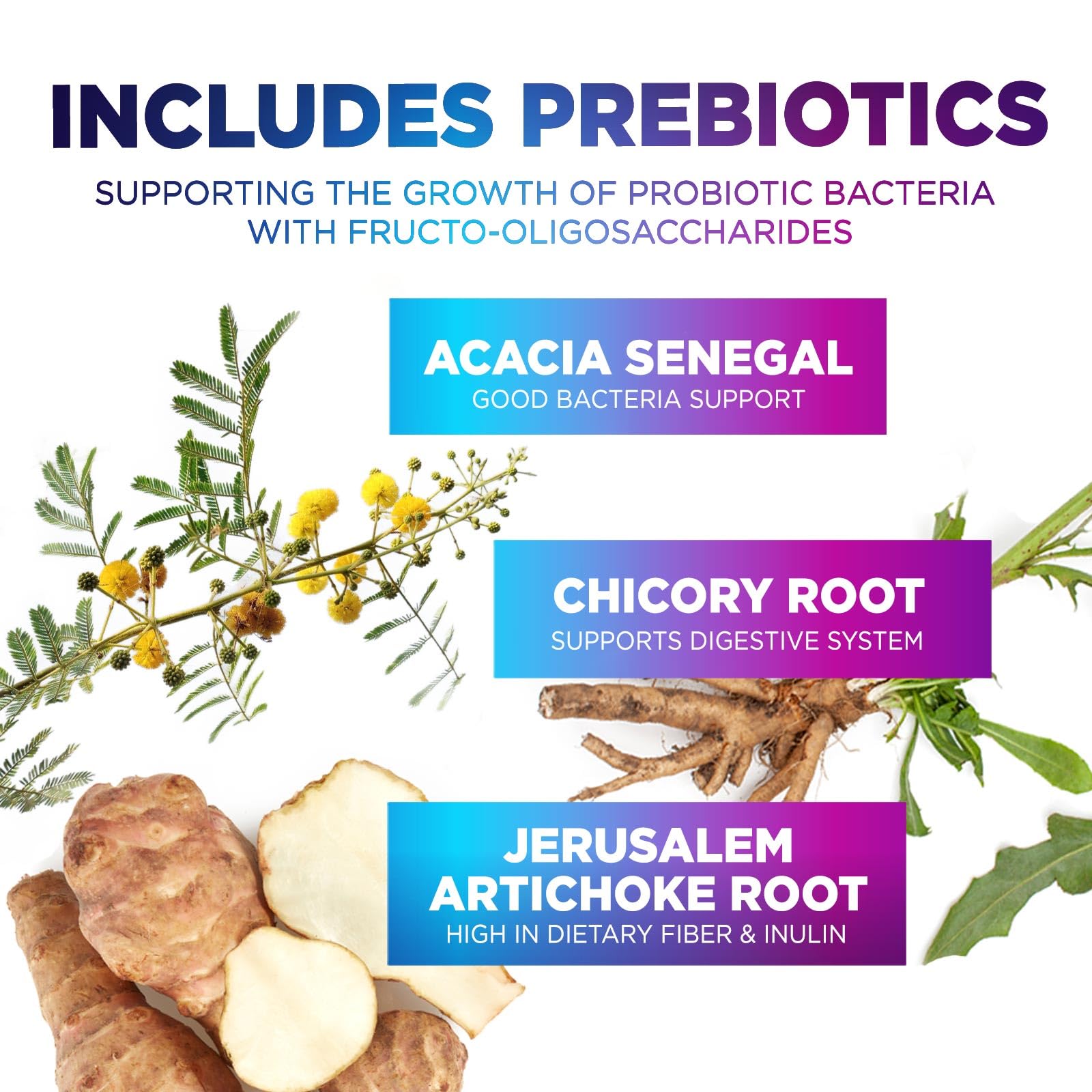 Probiotics 60 Billion CFU - 10 Strains + Digestive Enzymes & Prebiotics - Best Probiotic for Women & Men, Supports Immune, Gut Health, Occasional Constipation, Diarrhea, Gas & Bloating - 60 Capsules Nature's PeakAu supplements
