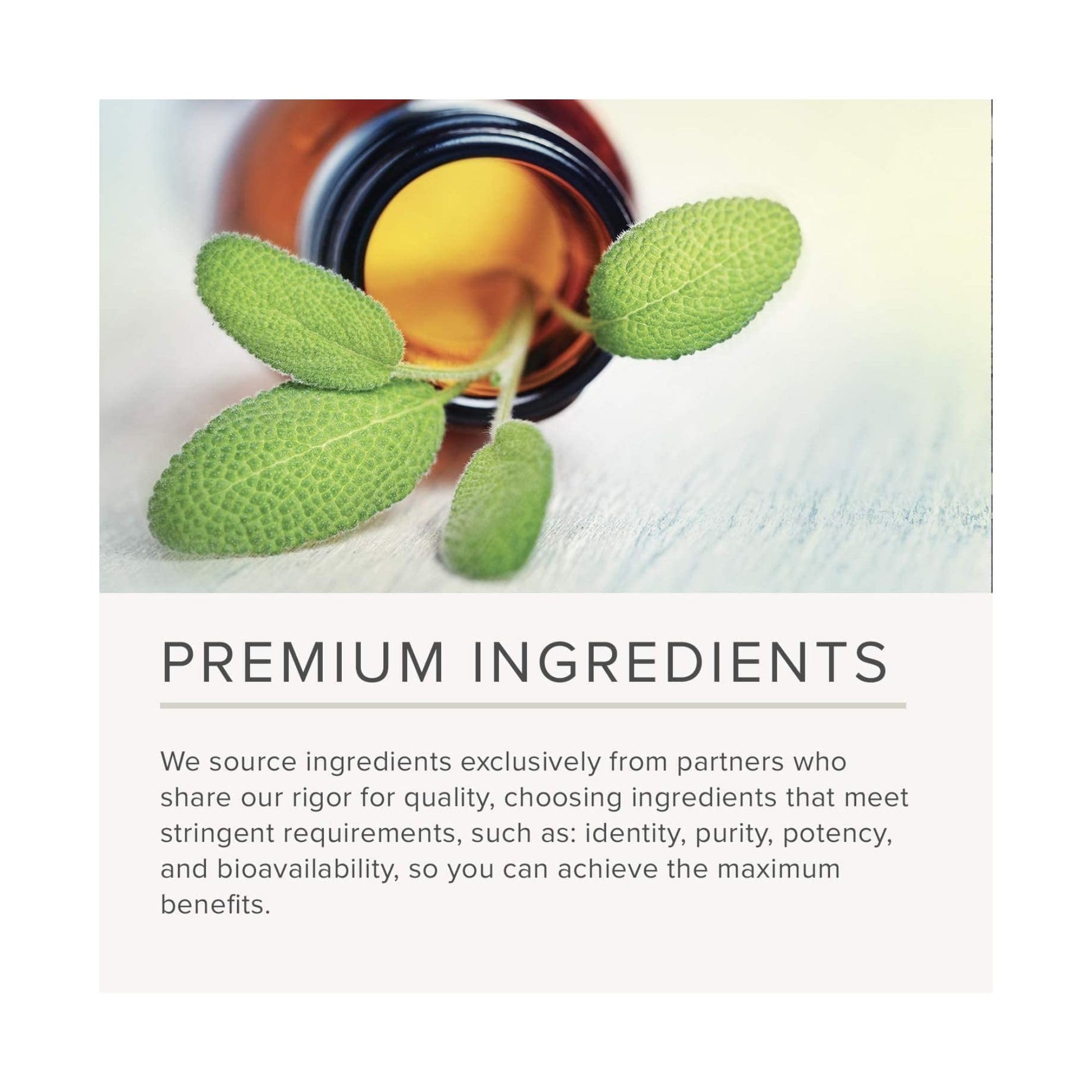 NusaPure Chlorophyll 200:1 Extract, 400 mg Equivalent to 80,000mg 60 Veggie Caps (Equivalent 80000mg per Serving, Non-GMO, Vegan) Sodium Copper Chlorophyllin NusaPureAu supplements