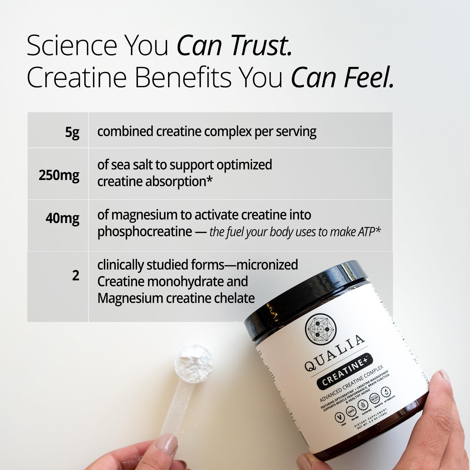 Qualia Creatine | Advanced Creatine Complex | 2 Sources + Magnesium | Optimized Absorption | Muscle Performance, Brain Function, & Healthy Aging (30 Servings) QUALIA LIFE SCIENCESAu supplements