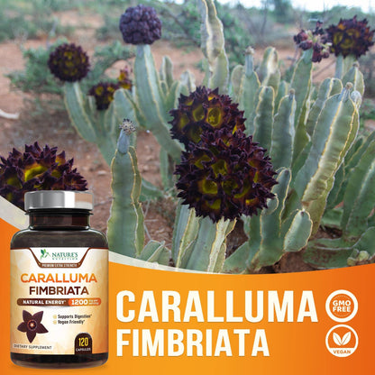 Pure Caralluma Fimbriata Extract Highly Concentrated 1200mg - Natural Endurance Support Nature's NutritionUS supplements