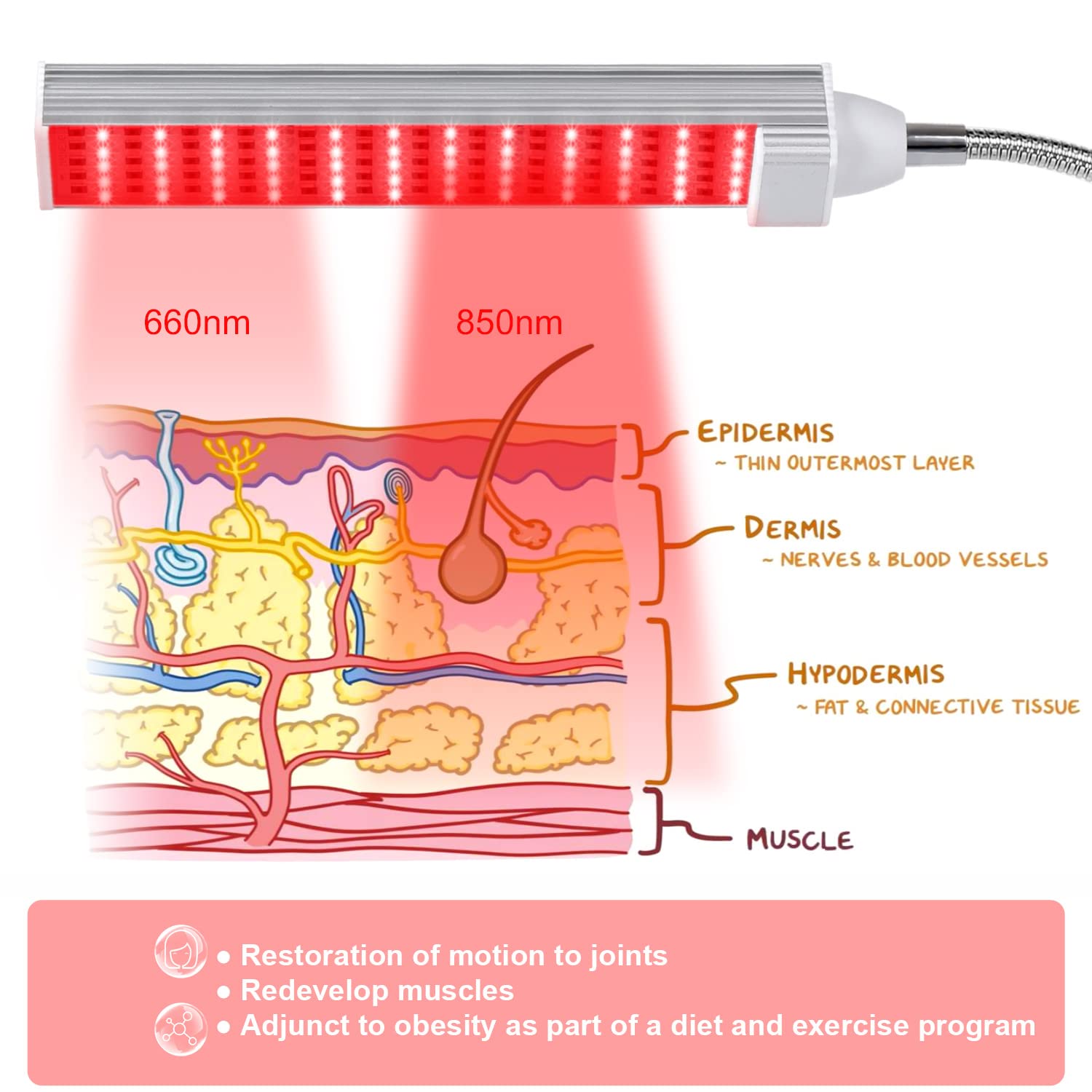 MAINENG Infrared & Red Light Therapy Lamp with Timer, 660nm & 850nm LED - M7685 MAINENGAu supplements