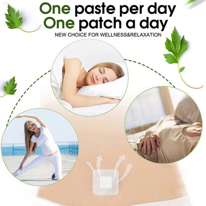 Bubchen Mugwort Belly Patch,30Pcs Natural Wormwood Essence and 30Pcs Belly Sticker BURWSEKKUS supplements