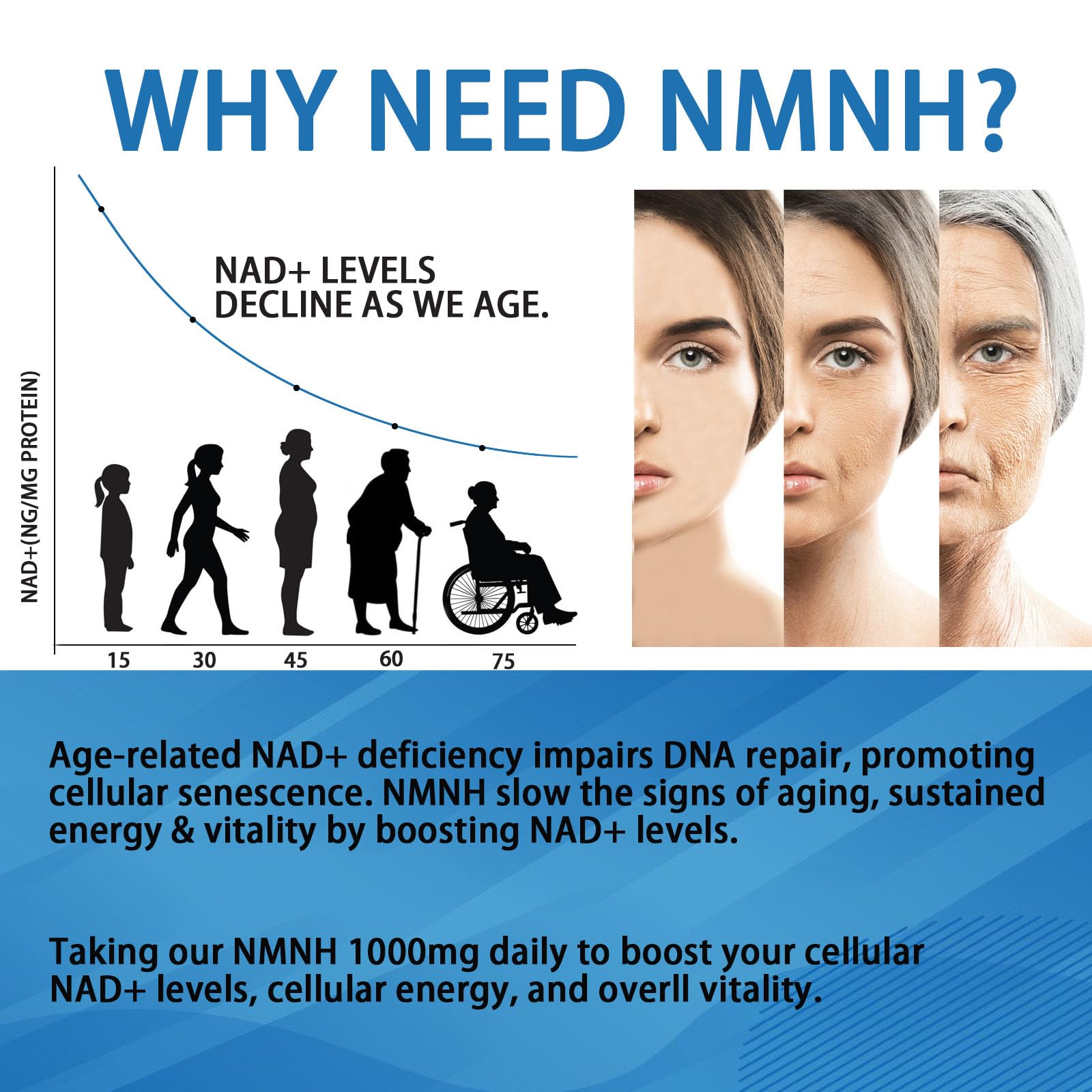 YZQ WAIDE NMNH (Dihydronicotinamide Mononucleotide), 1000mg NMNH Supplement to Boost NAD+ Levels Resveratrol Supplement with Quercetin for Energy, Aging, Non-GMO, Gluten Free, 120 Capsules YZQ WAIDEAu supplements