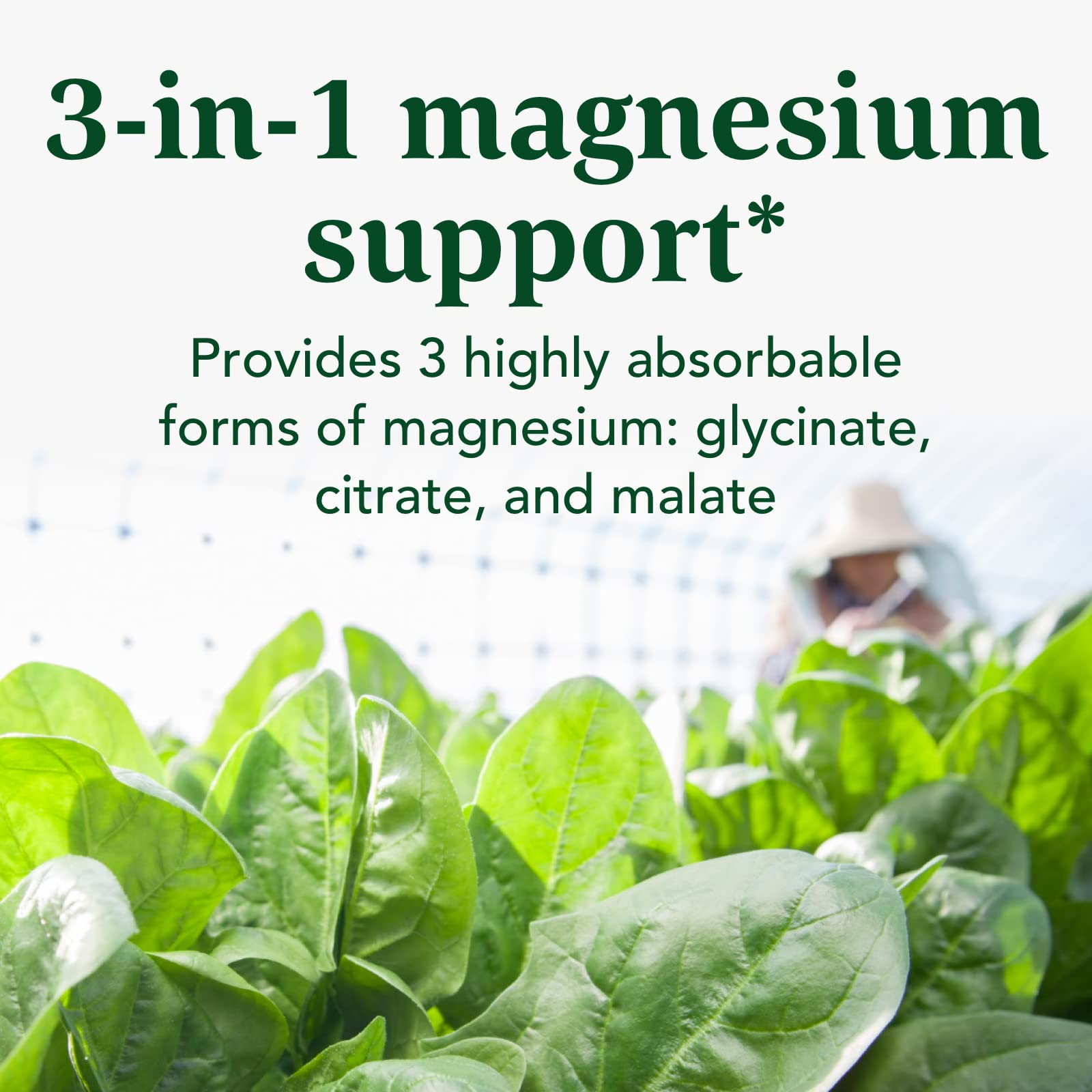 INNATE Response Formulas Magnesium 300 mg - Mineral Supplement for Muscle Relaxation - Vegetarian and Gluten-Free - 120 Capsules (60 Servings) INNATE Response FormulasAu supplements