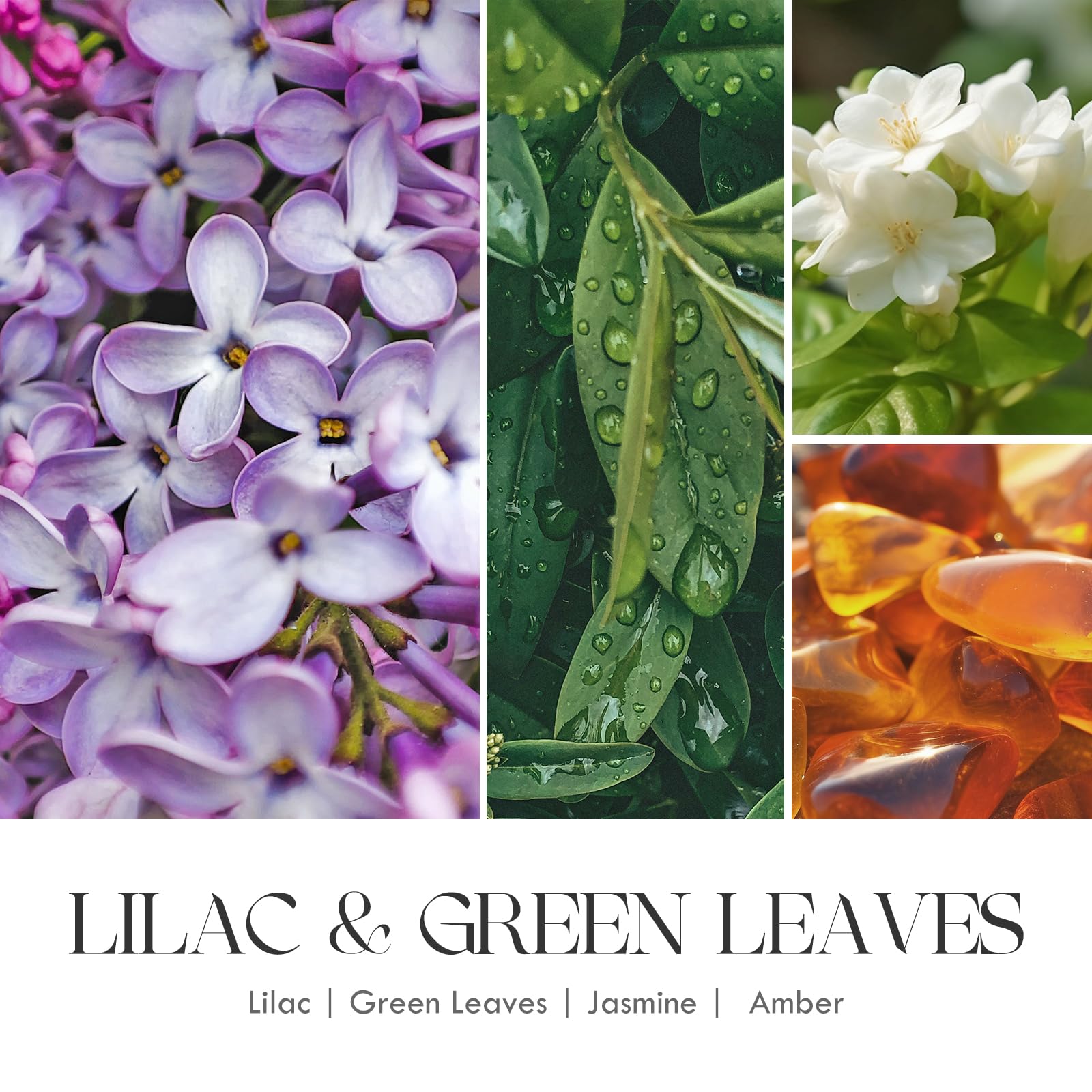 AOOVOO Lilac Candle, Candles Gifts for Women, Green Leaves Lilac Candle, Scented Candle AOOVOOAu supplements