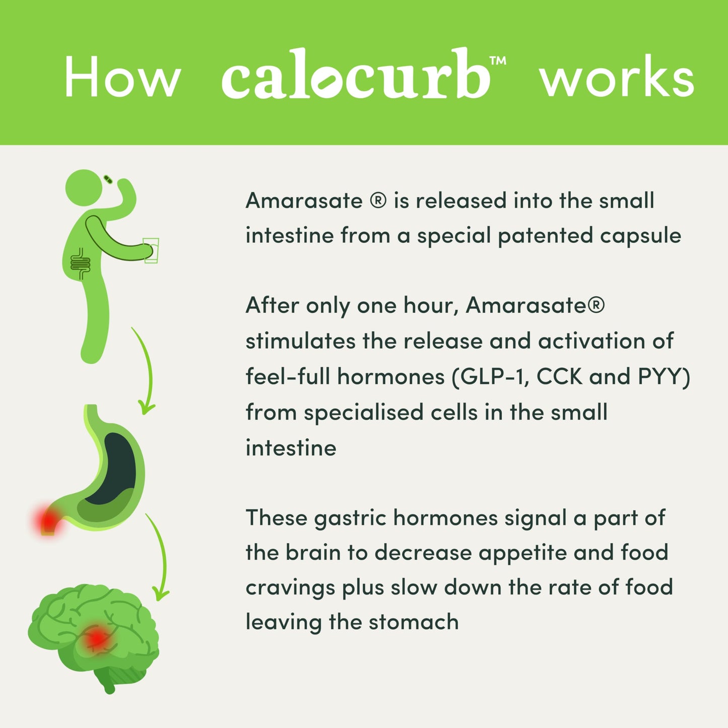 Calocurb Calorie Control Supplement, Natural GLP-1 Activator, 90 Count (1 Month Average CalocurbUS supplements