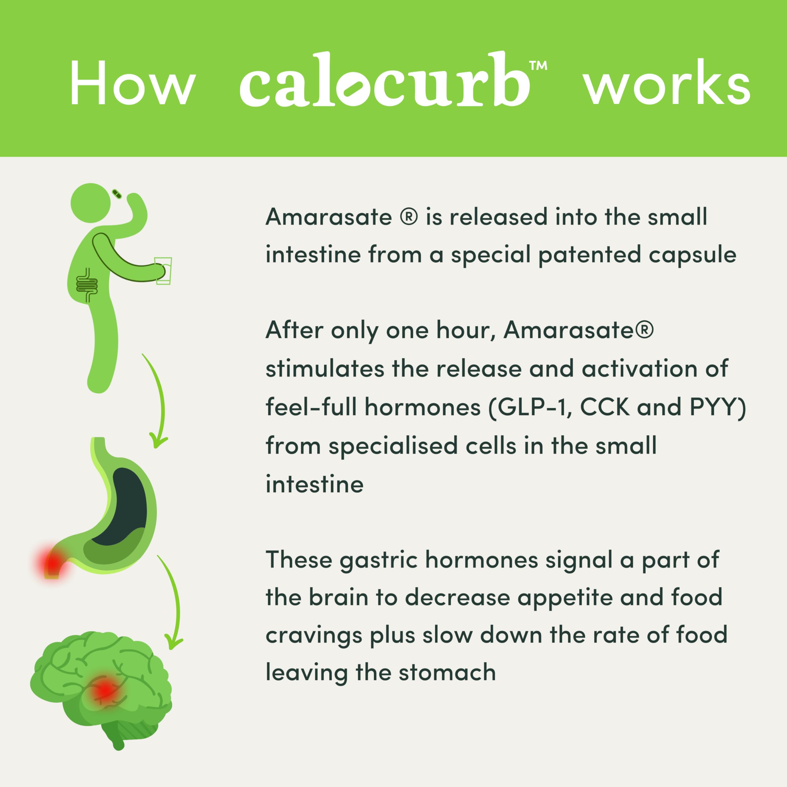 Calocurb Calorie Control Supplement, Natural GLP-1 Activator, 90 Count (1 Month Average CalocurbUS supplements