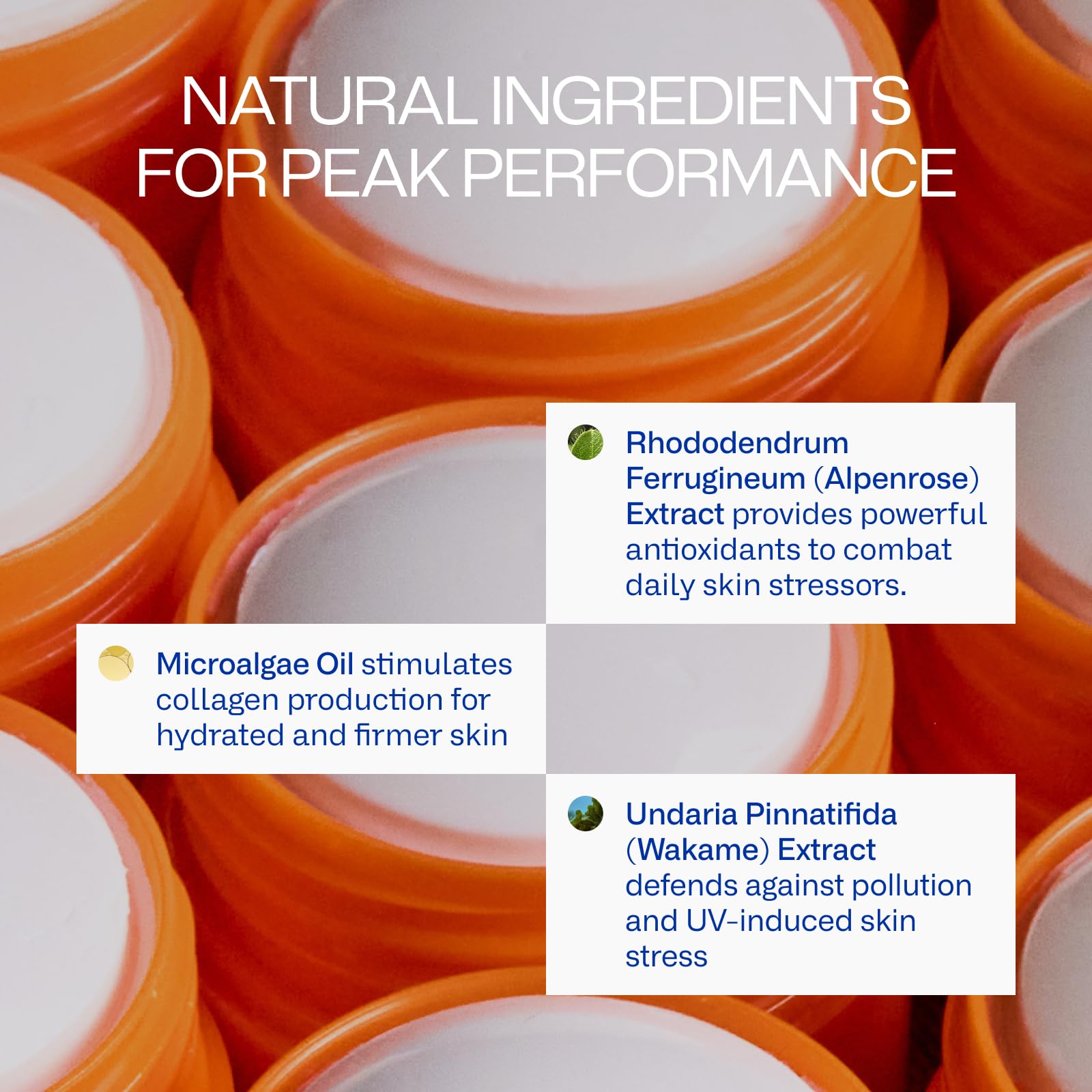 Peak Performance Sun Stick SPF 50 | 100% Mineral Sunscreen | Lightweight, 40-Min Water-Resistant | Plant-Based, Eco-Friendly, Reef-Safe, Cruelty-Free | All Skin Types | 0.70 oz | Pack of 2 Freaks of NatureAu supplements