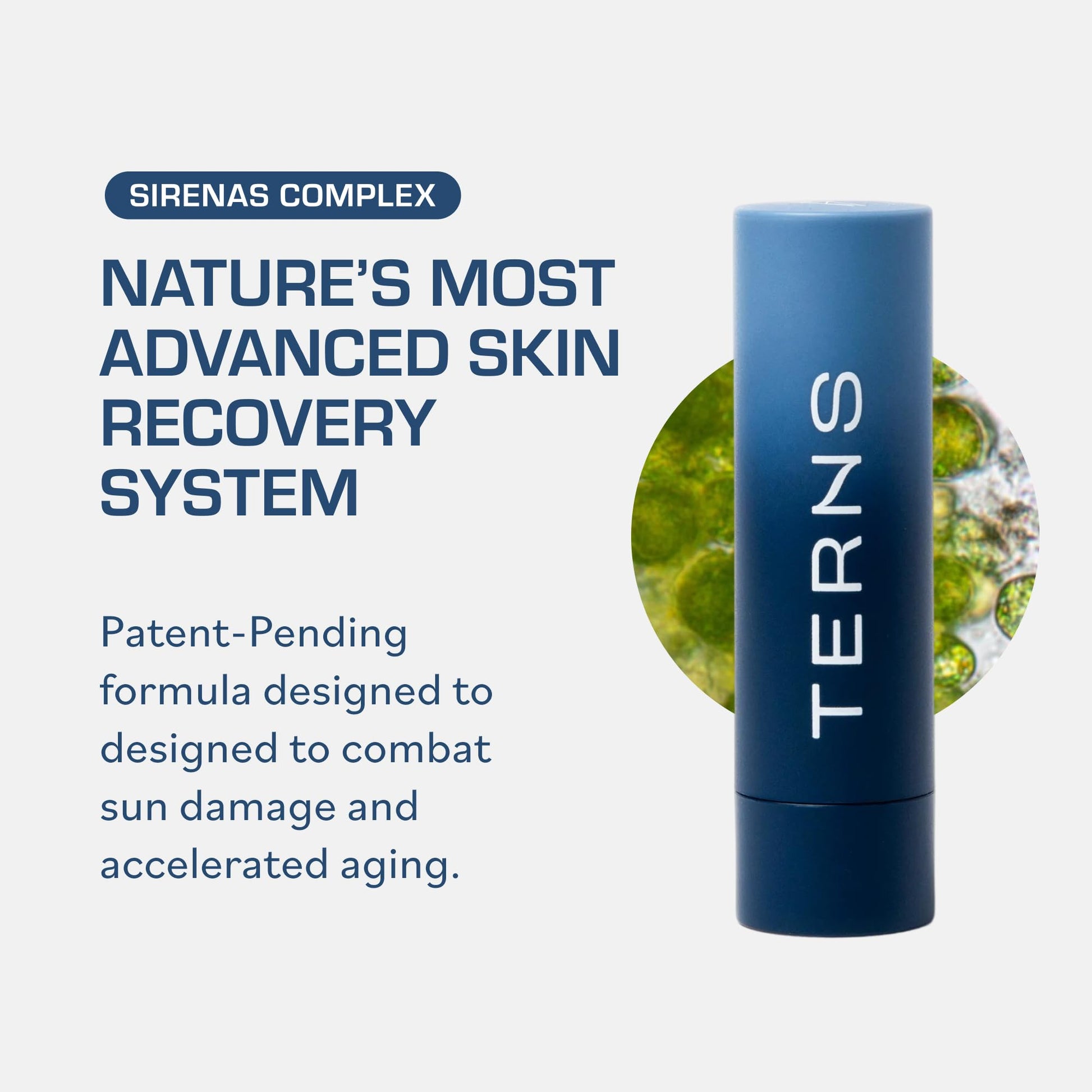TERNS Everyday Lip Balm | Hyaluronic Acid + Baobab & Meadowfoam Oils, Algae-Powered Sirenas Complex OS, Refreshing Mint, Non-Sticky Cushion Glide, Cruelty-Free TERNSAu supplements