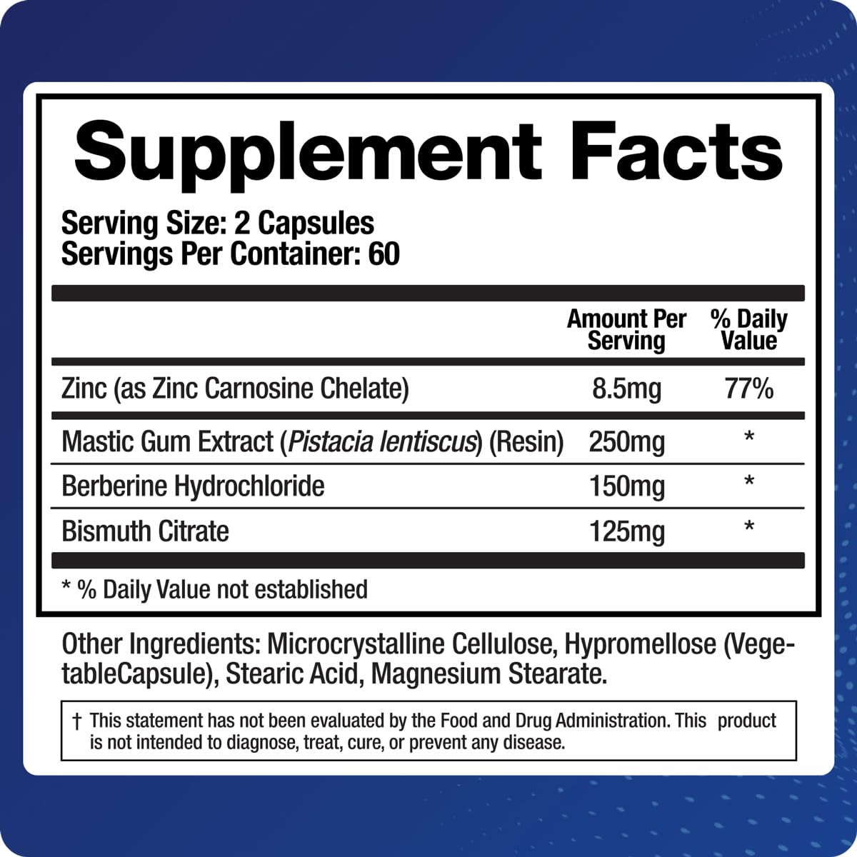 BioMatrix Pylor-X Gut Health Supplement – Mastic Gum, Berberine, Zinc Carnosine & Bismuth Salts for Gastric Support, Digestive Comfort, Stomach Lining Protection - (120 Capsules) 30-60 Day Supply BioMatrixAu supplements