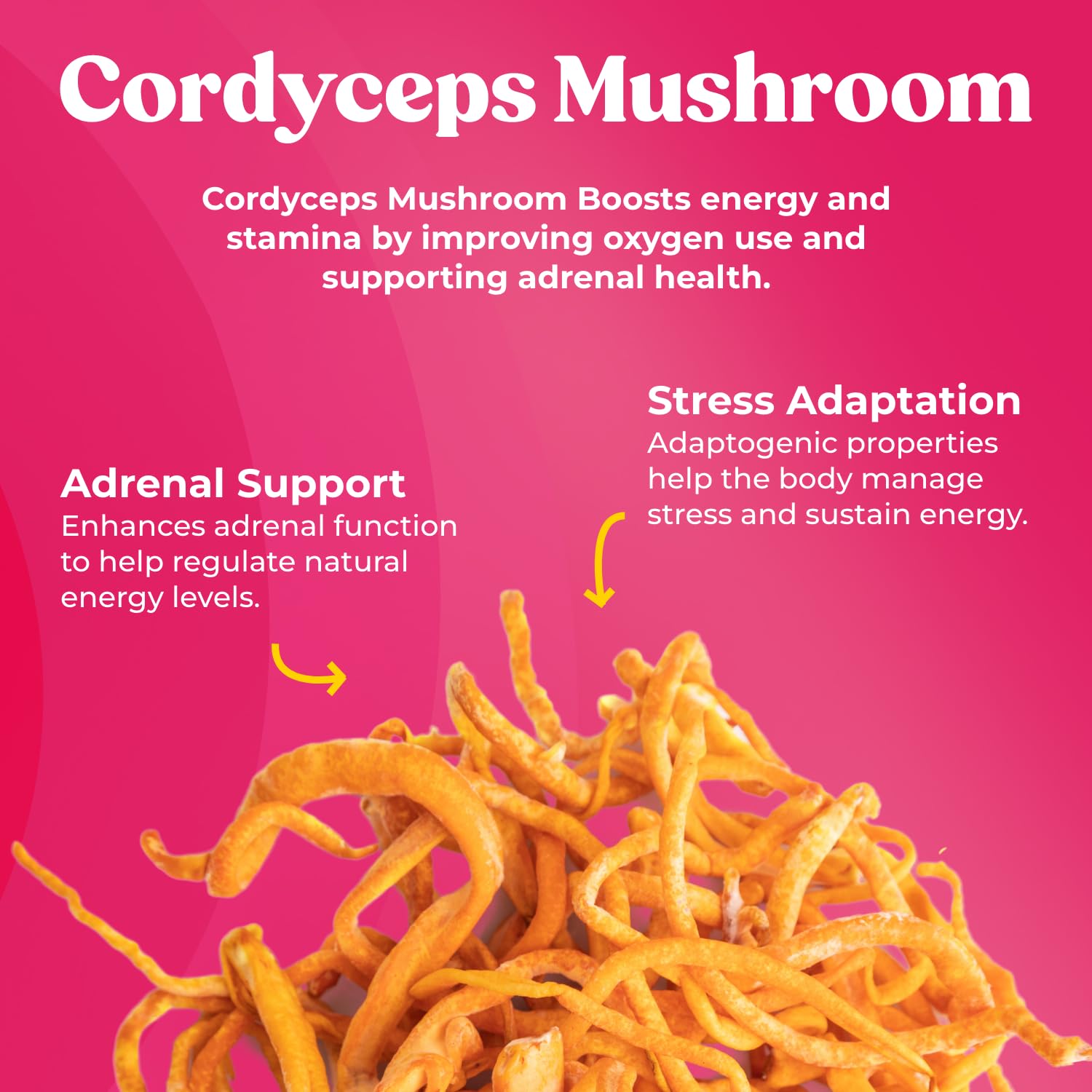 Fungiments Super Bouncy Mushroom Supplement – Cordyceps Focus Capsules for Adults – Natural Brain Boost, Green Tea Energy Vitamins Without jitters, Stamina for Women, Fatigue Support – 60 Count FungimentsAu supplements