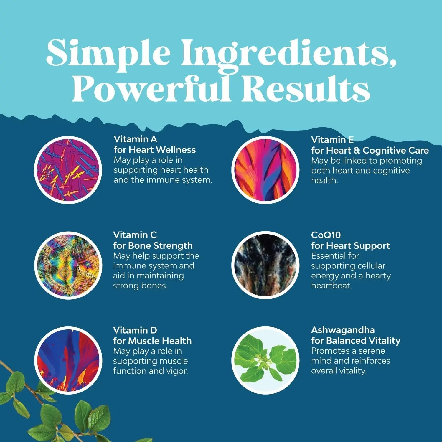 Natures Craft Men's Multivitamin Gummies with Superfood Complex - Daily Multivitamin for Men Gummies with CoQ10 and Ashwagandha Natures CraftAu supplements
