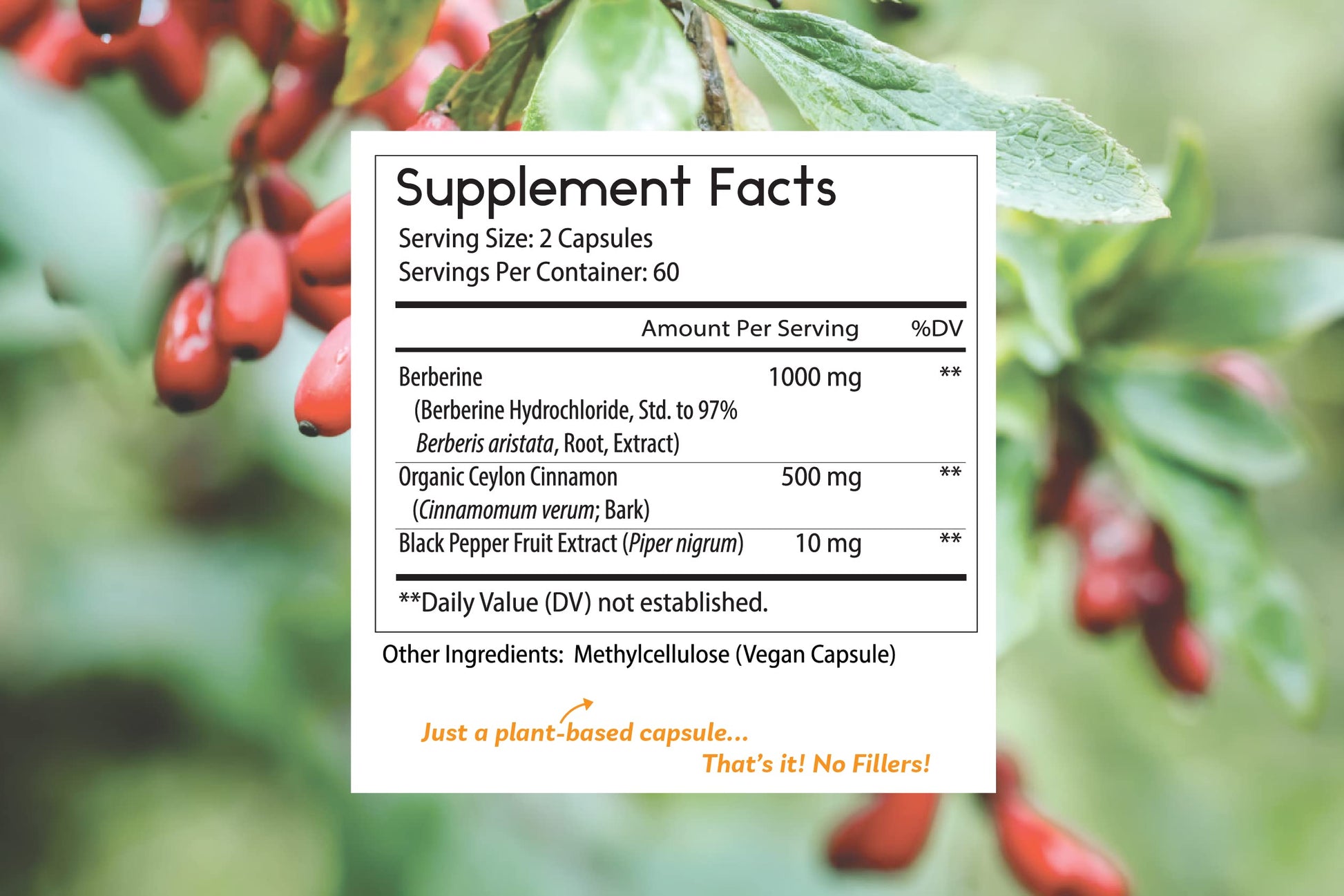Thomas' all-natural Remedies Berberine 500mg (1000mg Per Serving)- 120 Vegan Capsules Thomas' all-natural RemediesAu supplements