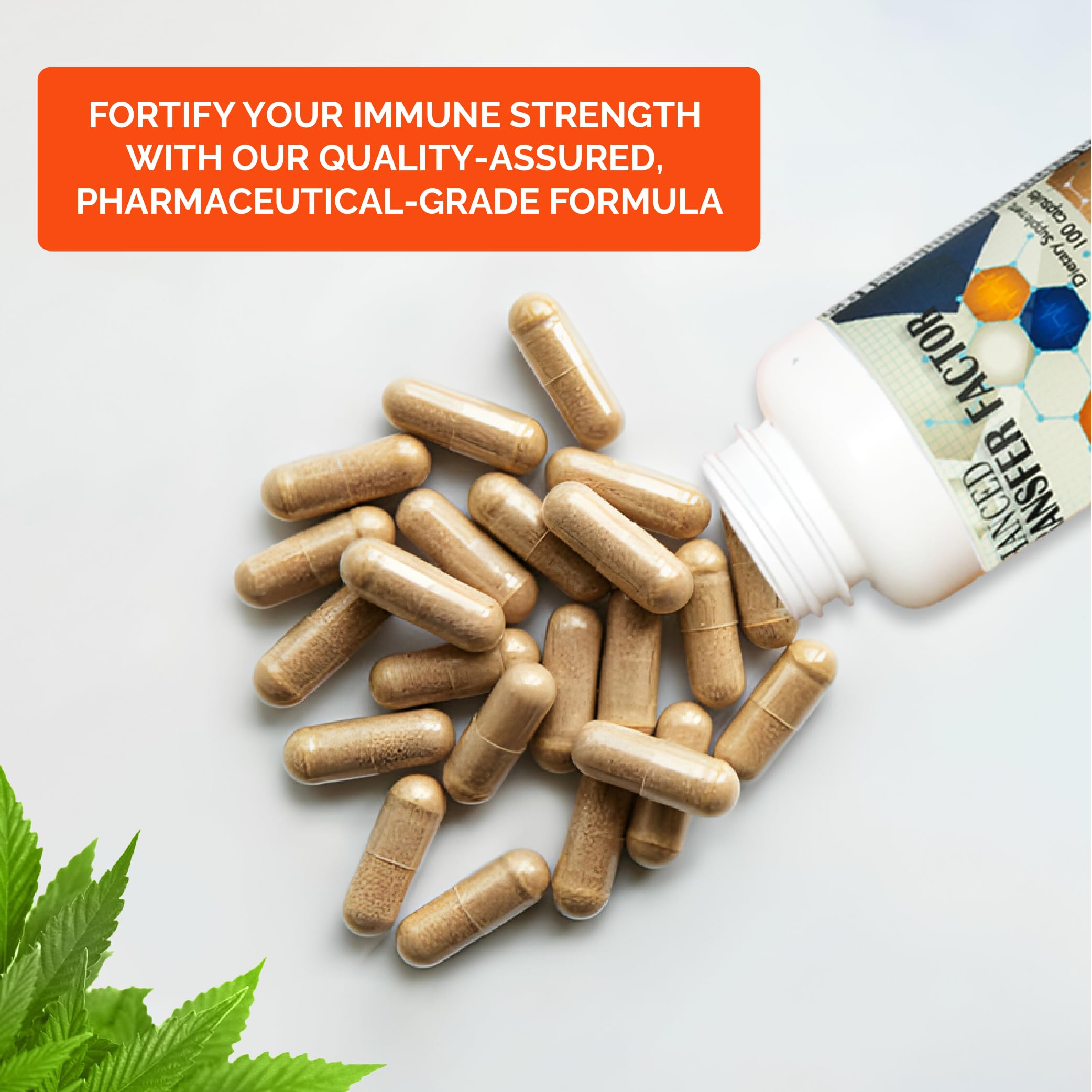 Transfer Factor Enhanced, 100 Natural Capsules, Immune Support - Transfer Factor Multi Immune from Cow Colostrum, Egg Yolk & Special Blend of Mushrooms DislafarmAu supplements