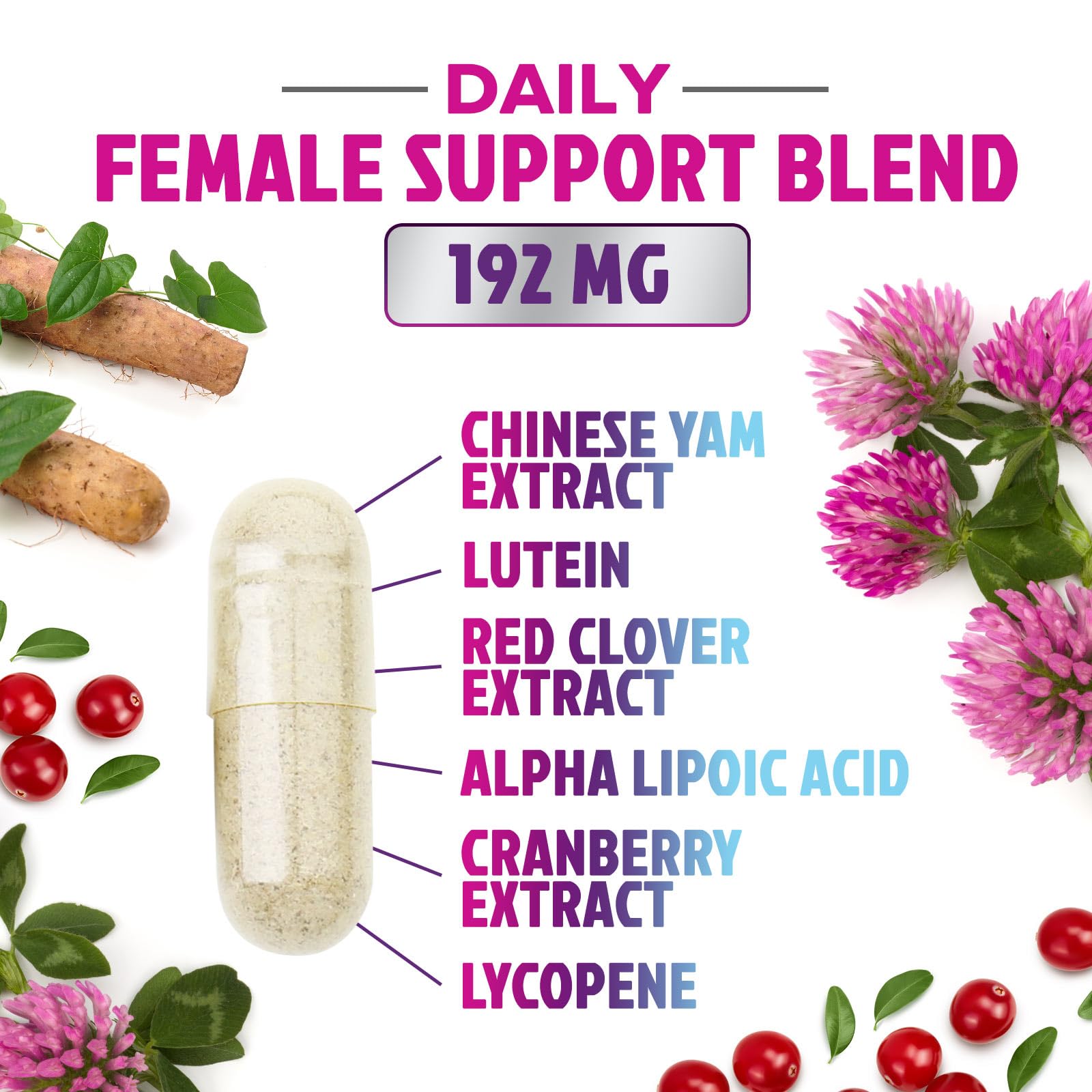 Multivitamin for Women - with Vitamins A, C, D, E, B6, B12, Zinc, Calcium & Magnesium, Womens Daily Multi Vitamin Multimineral Supplement for Bone Health, Energy & Immune Support - 120 Capsules Nature's NutritionAu supplements