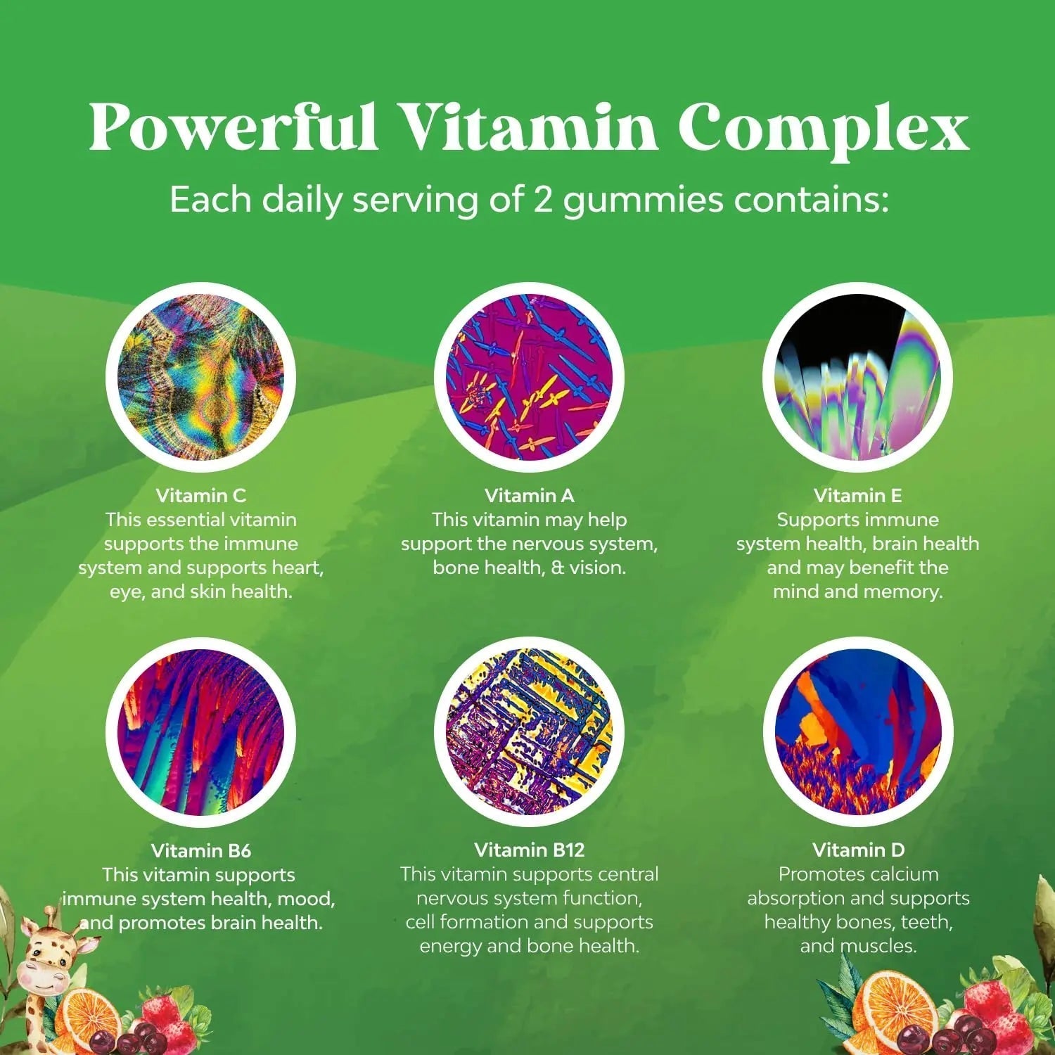 Bundle of Plant Based Kids Multivitamin Gummies with Vitamins A C D3 E B Zinc and DHA Omega 3 Gummies with Vegetarian 6 9 for Vision Brain Immunity Support Natures CraftAu supplements