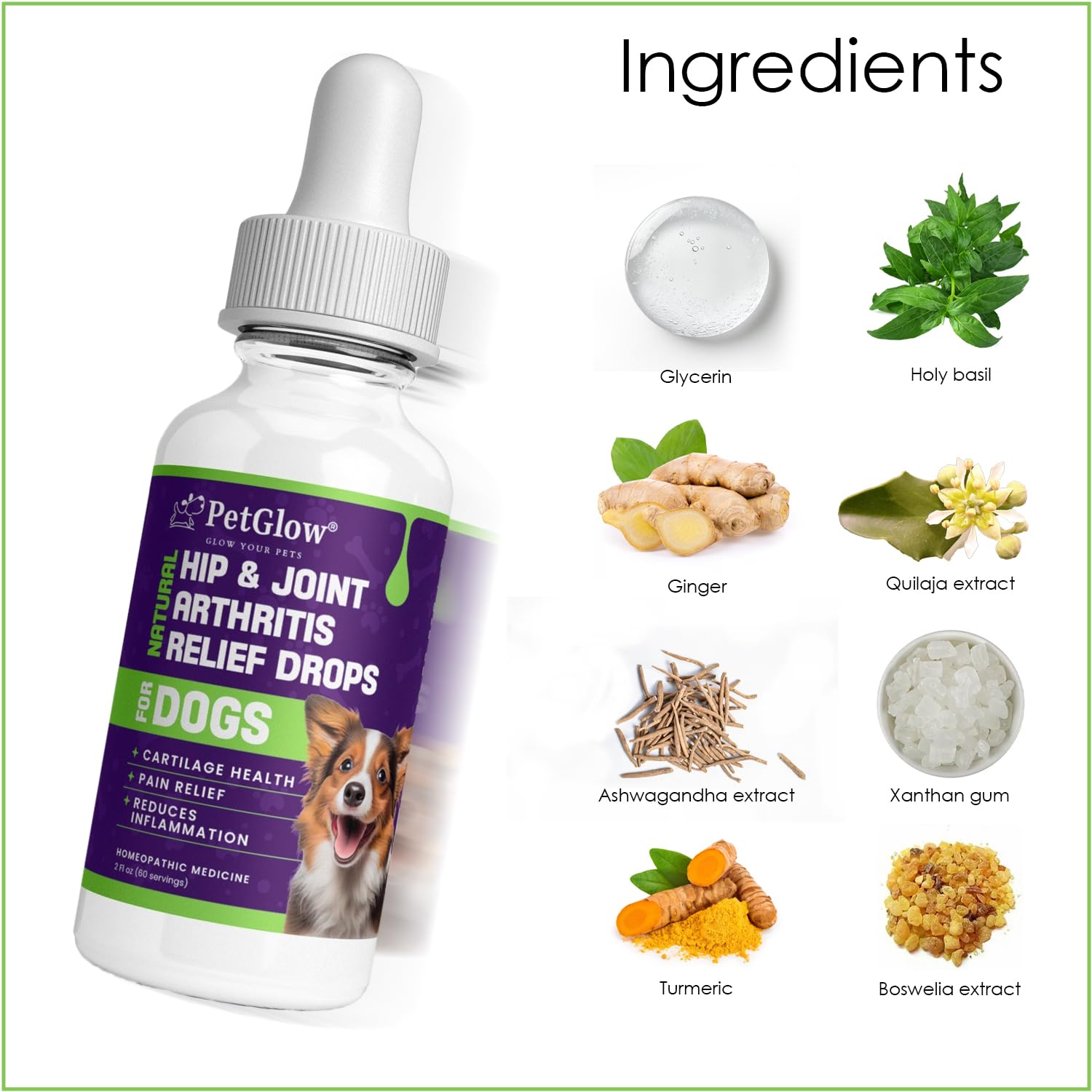Petglow® Natural Hip & Joint Arthritis Relief Drops with Curcumin & Boswellia, Homeopathic Anti-Inflammatory Formula for Dogs, Cats & Horses, Supports Flexibility, Comfort & Mobility Naturally PetglowAu supplements