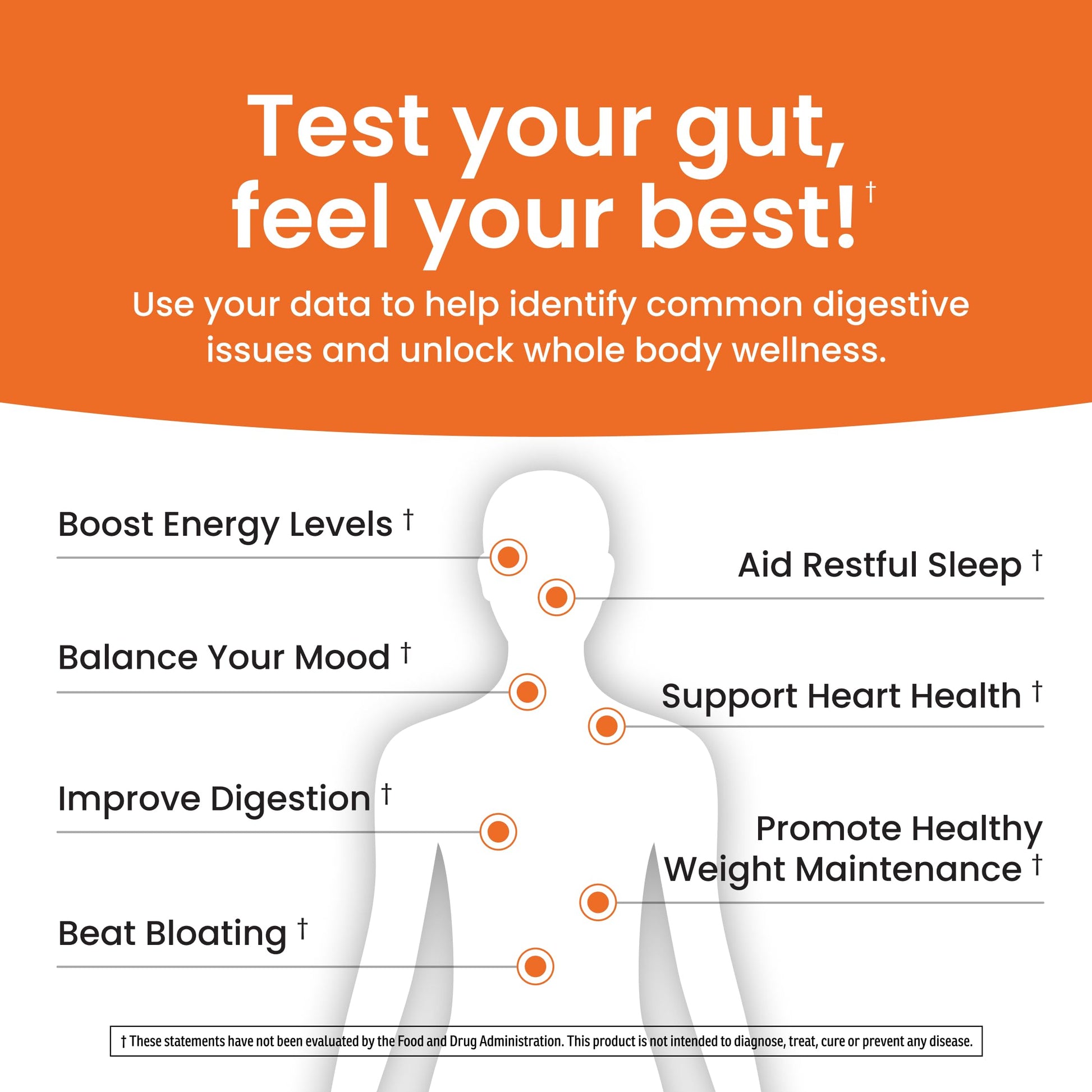 Ombre Gut Health Test Kit - Probiotic Recommender at Home Test for Women & Men - Detailed Custom Gut Microbiome Analysis for Digestive, Immune and Mental Health with Food Suggestions OmbreAu supplements
