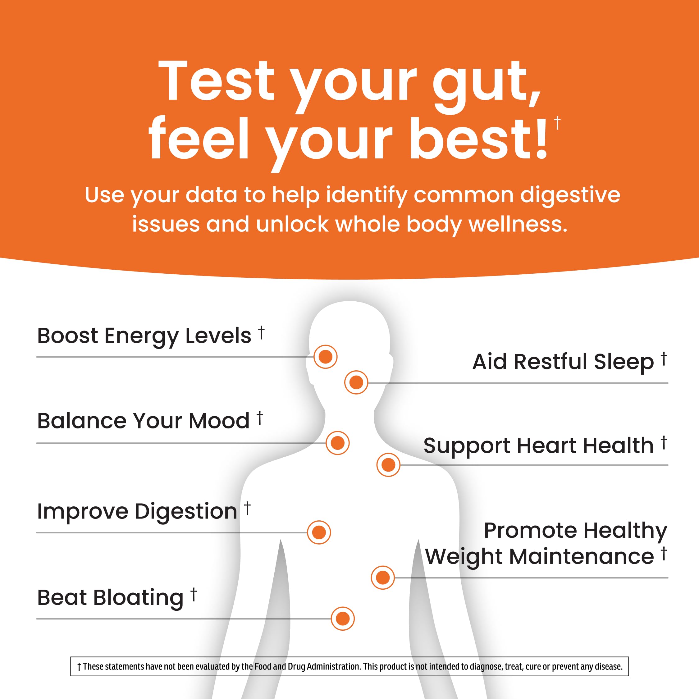 Ombre Gut Health Test Kit - Probiotic Recommender at Home Test for Women & Men - Detailed Custom Gut Microbiome Analysis for Digestive, Immune and Mental Health with Food Suggestions OmbreAu supplements