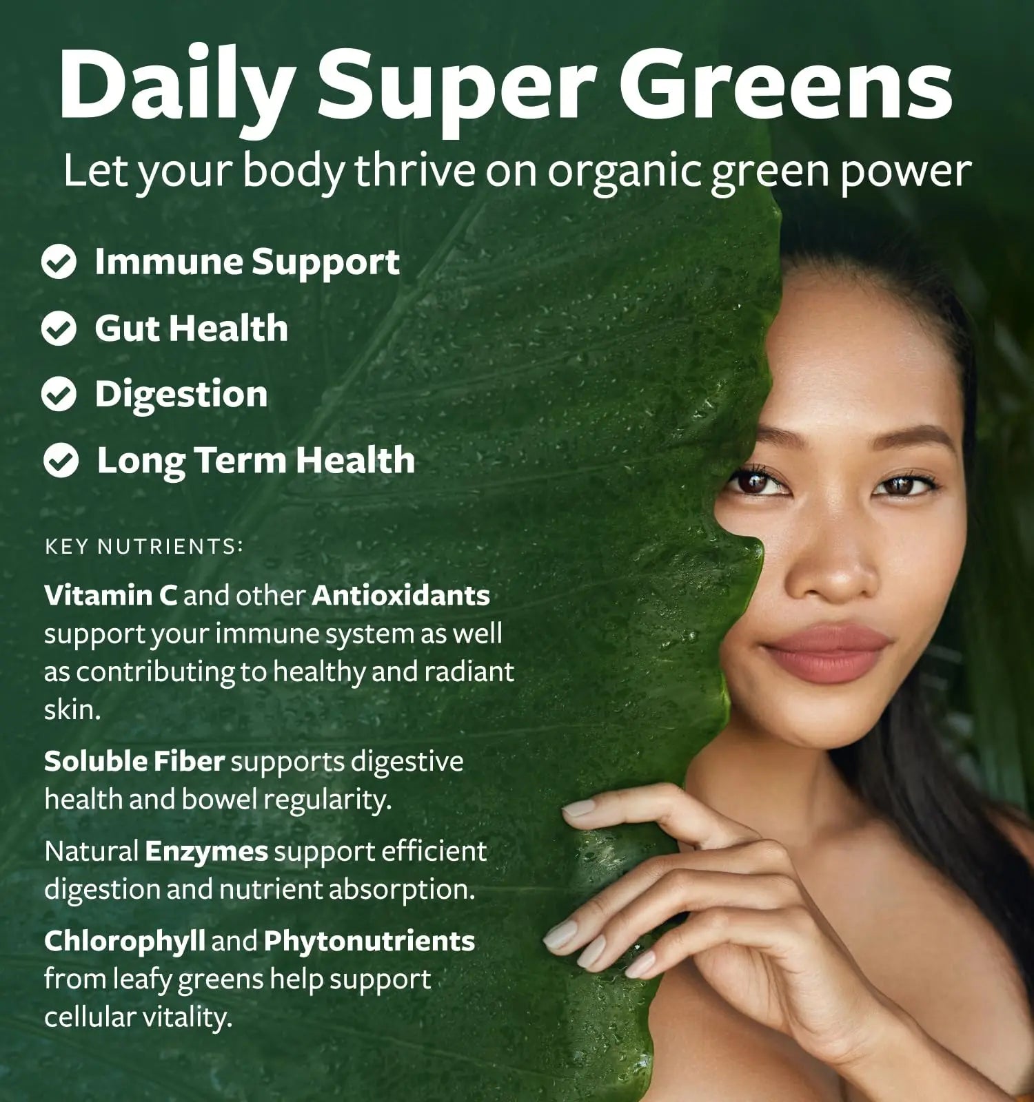 Super Greens & Antioxidants (2-Month Supply) Antioxidant Power Greens Bundle of Organic Super Greens Powder - Complete Superfood (120 Capsules) & Super Antioxidants - Powerful Superfood (120 Capsules) Healths Harmonynz supplements