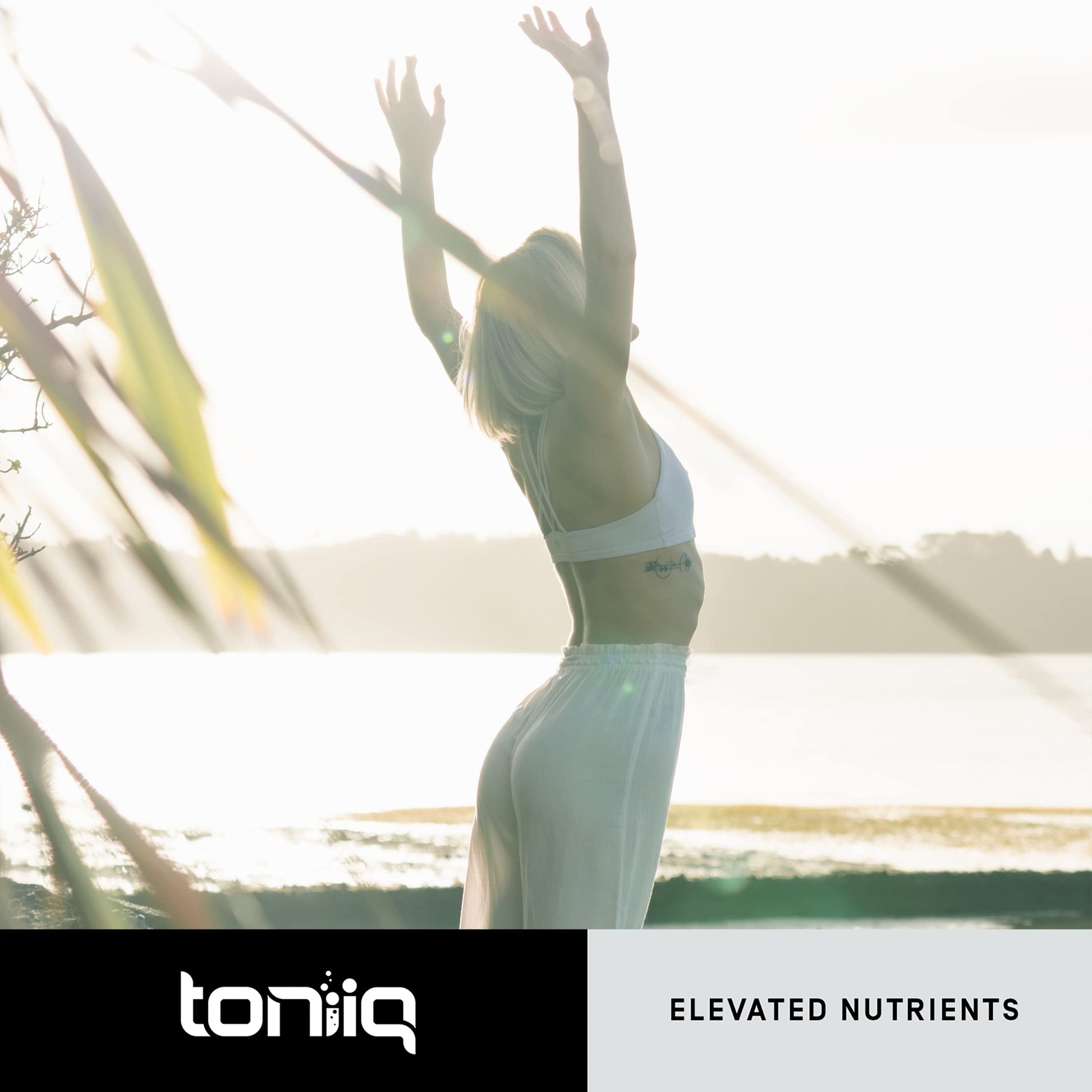 Toniiq Ultra High Purity Fisetin 500mg - 98%+ Higly Purified & Bioavailable Fisetin Supplement with MCT Oil for Absorption - Third-Party Tested Senolytic Supplements for Aging Support - 60 Capsules ToniiqAu supplements