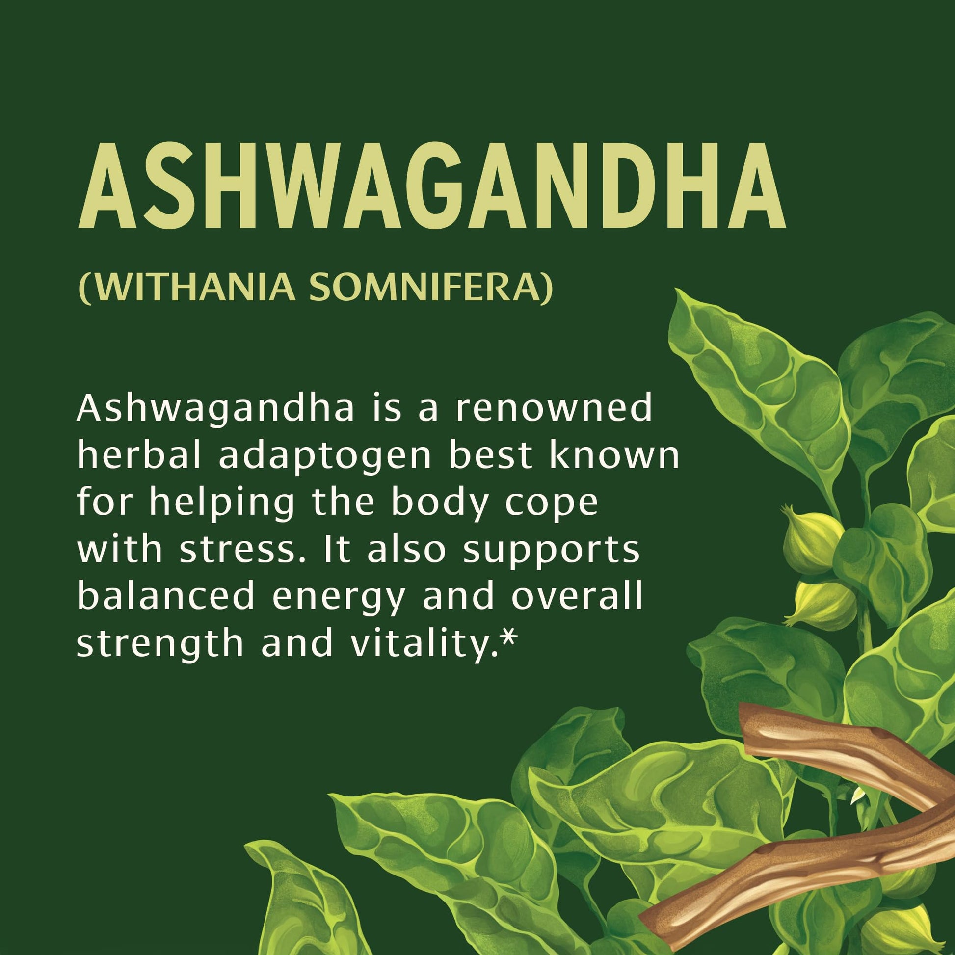 Banyan Botanicals Organic Ashwagandha - 1000mg per Serving - Cortisol Manager & Stress Relief Supplement - Adrenal Support for Mood, Restful Sleep & Muscle Recovery - 180 Tablets - Non-GMO, Vegan* Banyan BotanicalsAu supplements