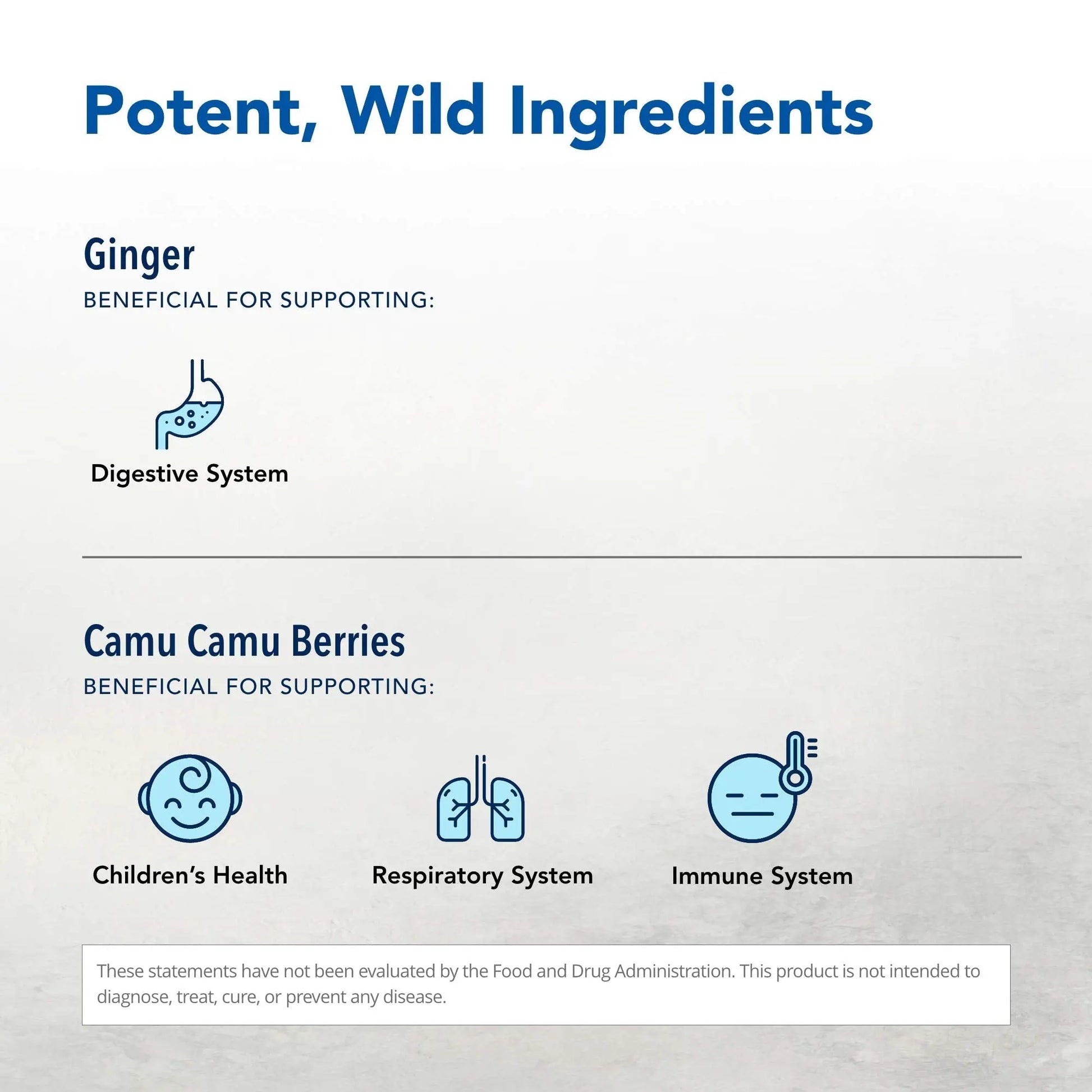 NORTH AMERICAN HERB & SPICE Inflam-eeZ - 90 Capsules - Supports Healthy Immune & Inflammatory Response - Ginger Root, Camu Camu Berries, Bromelain & Papain Plus - Non-GMO - 45 Total Servings NORTH AMERICAN HERB & SPICEAu supplements