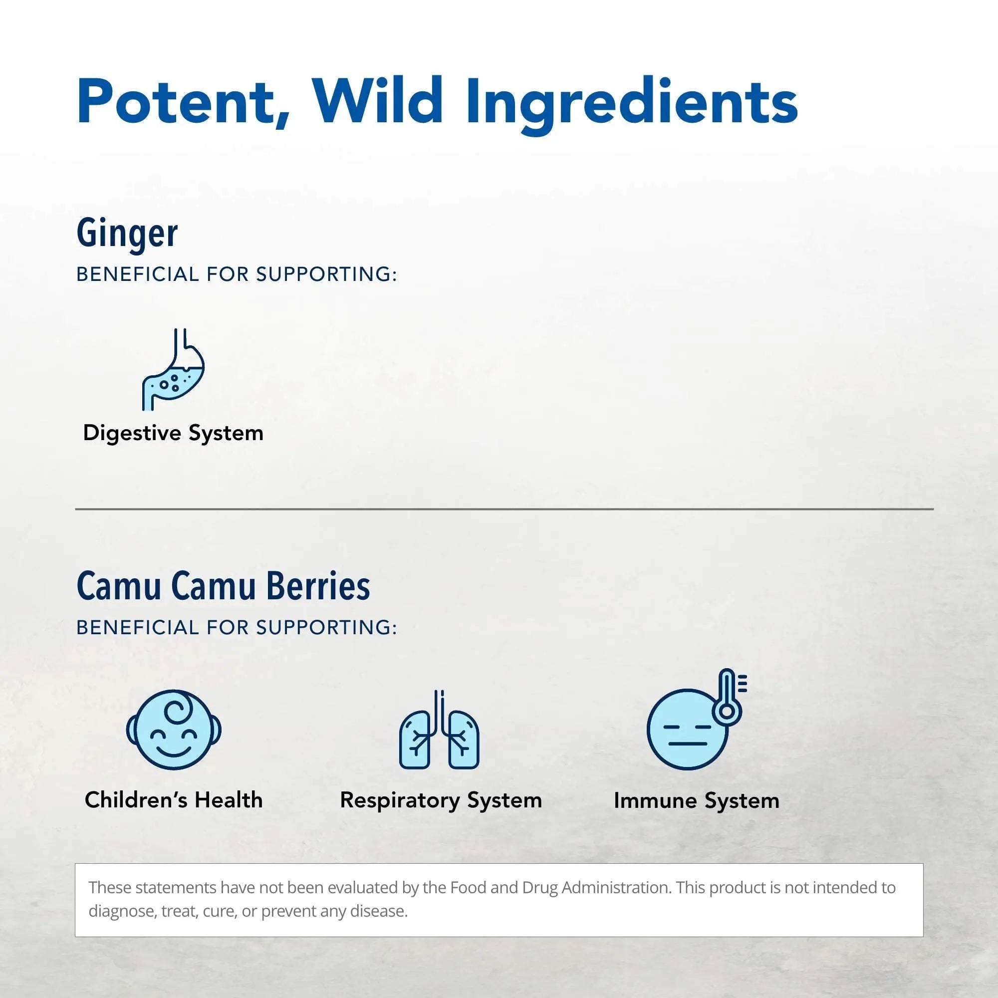 NORTH AMERICAN HERB & SPICE Inflam-eeZ - 90 Capsules - Supports Healthy Immune & Inflammatory Response - Ginger Root, Camu Camu Berries, Bromelain & Papain Plus - Non-GMO - 45 Total Servings NORTH AMERICAN HERB & SPICEAu supplements