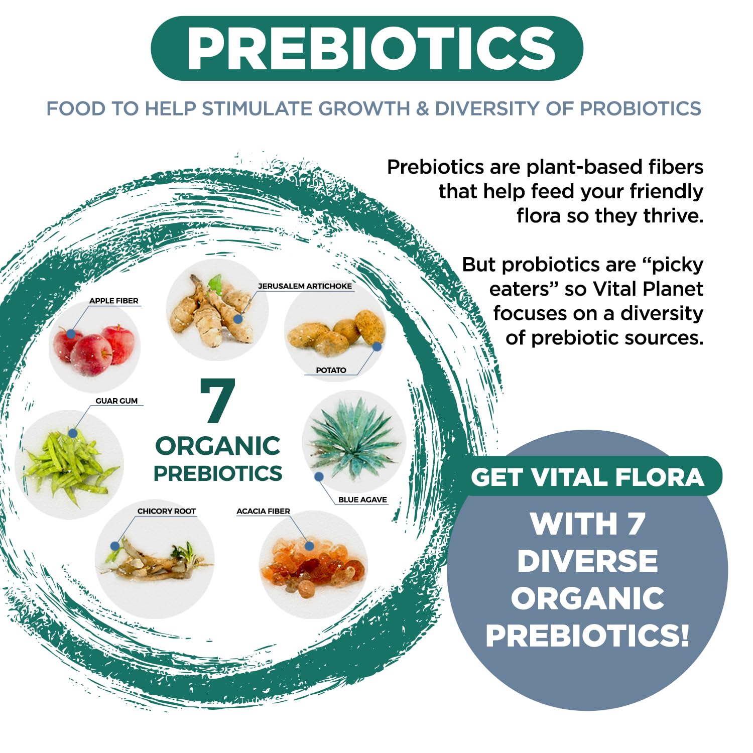 Vital Planet - Vital Flora Ultra Daily Probiotic 60 Billion CFU, Diverse Strains, Organic Prebiotics, Immune Support, Bloating Relief, Digestive Health Probiotics for Women and Men 60 Capsules Vital PlanetAu supplements