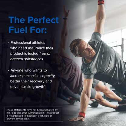 Designs for Sport Creatine Monohydrate Powder - NSF Certified for Sport Creatine Designs for SportUS supplements