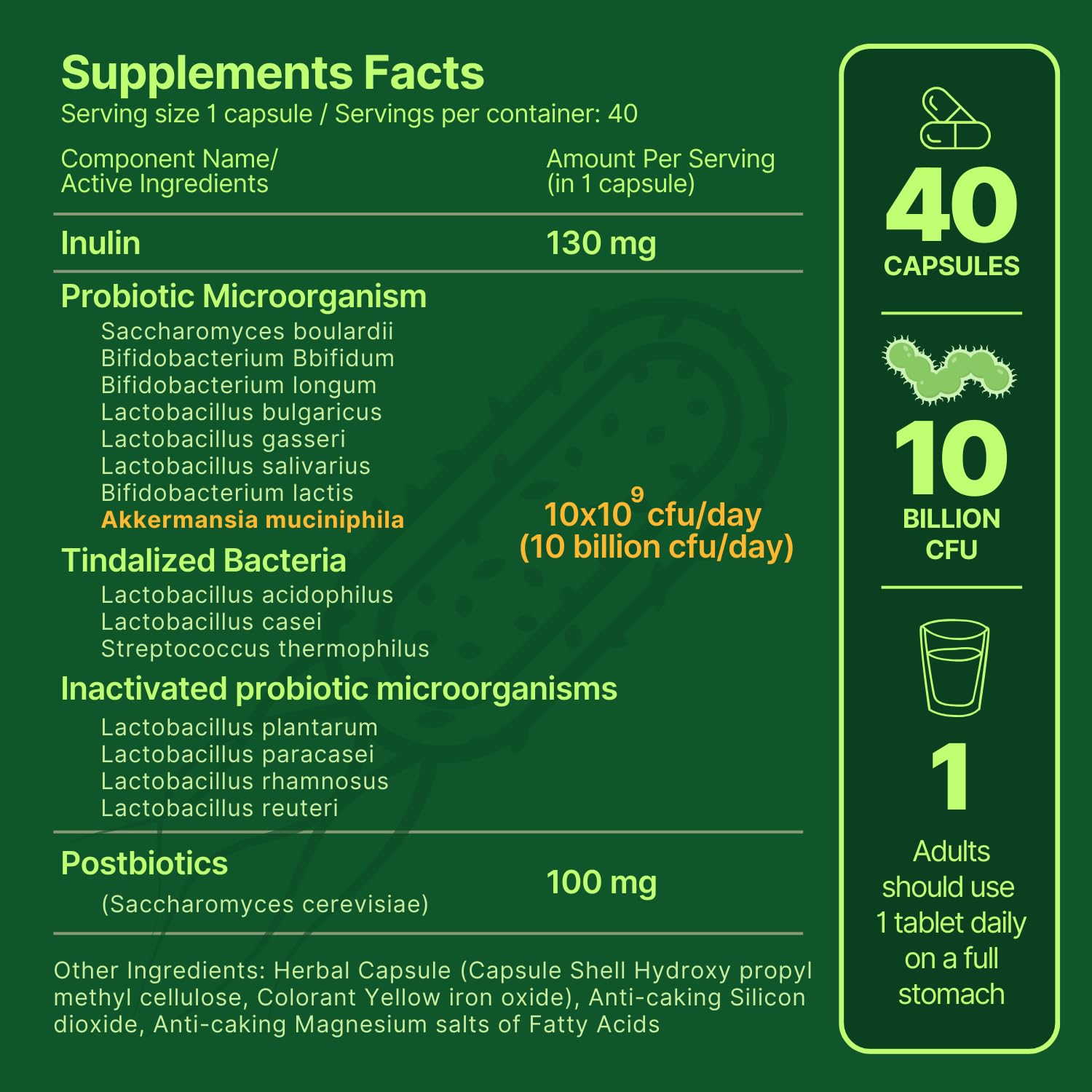 anocin Akkermansia Muciniphila + Probiotic, Postbiotic & Inulin - Gut Health Supplement for Digestion, Immune Support - 10 Billion CFU, Vegan & Gluten-Free anocinAu supplements