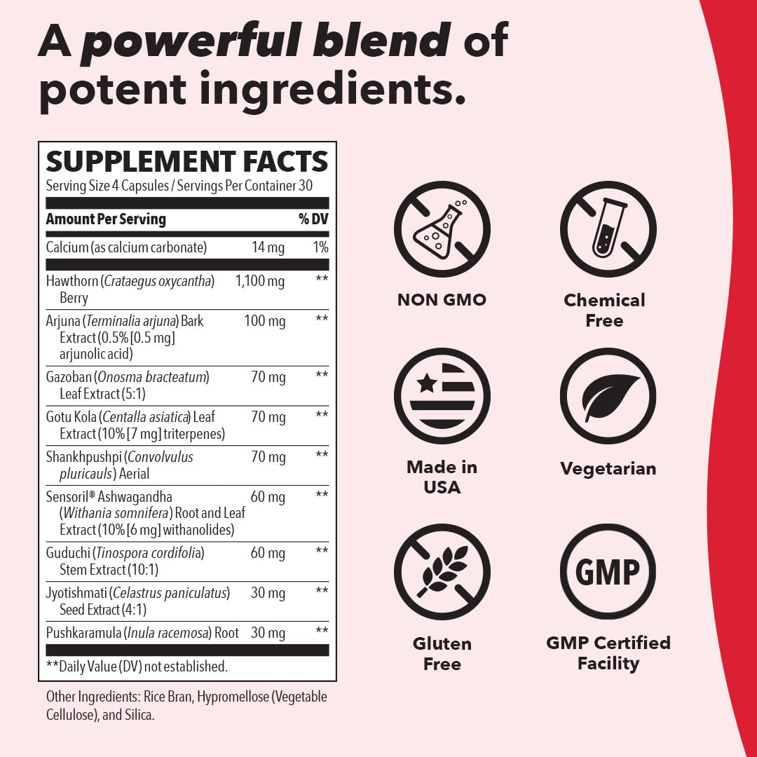 LifeSeasons B/P Stabili-T - Blood Pressure Support - Vitamin Supplement for Healthy Heart & Circulation - Ashwagandha, Arjuna & Hawthorn Berry - 240 Capsules LifeSeasonsAu supplements