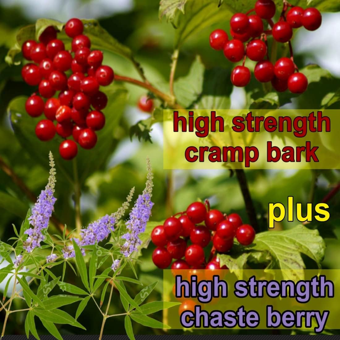 Menstrual Cramp Period Gummies True Roots | PMS Support Supplement for Women | Healthy Flow | Flo PMS Menstrual Cycle Relief, Cramping and Bloating | Vegan & Natural Flavors | 60 Count True RootsAu supplements